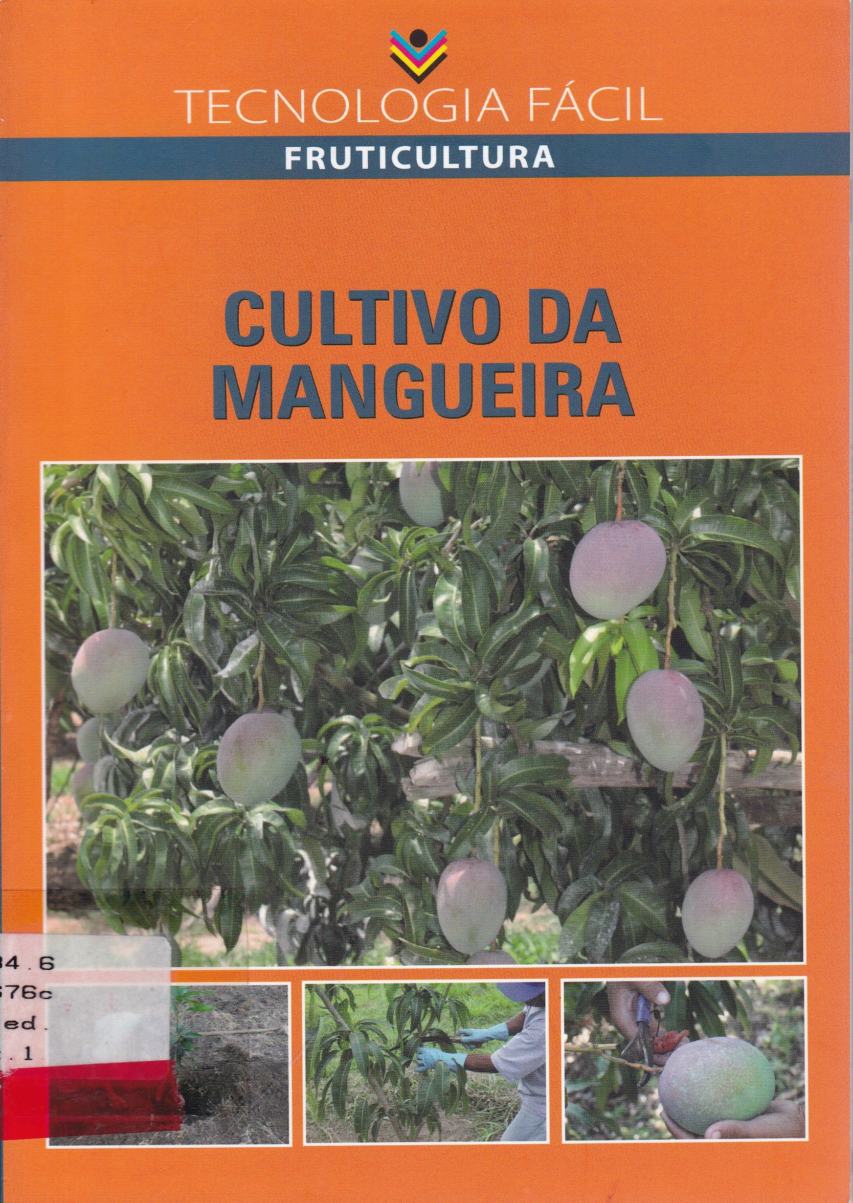 CULTIVO DA MANGUEIRA
