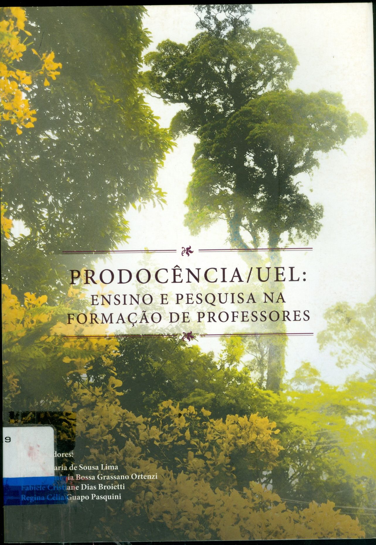 PRODOCÊNCIA/UEL: ENSINO E PESQUISA NA FORMAÇÃO DE PROFESSORES