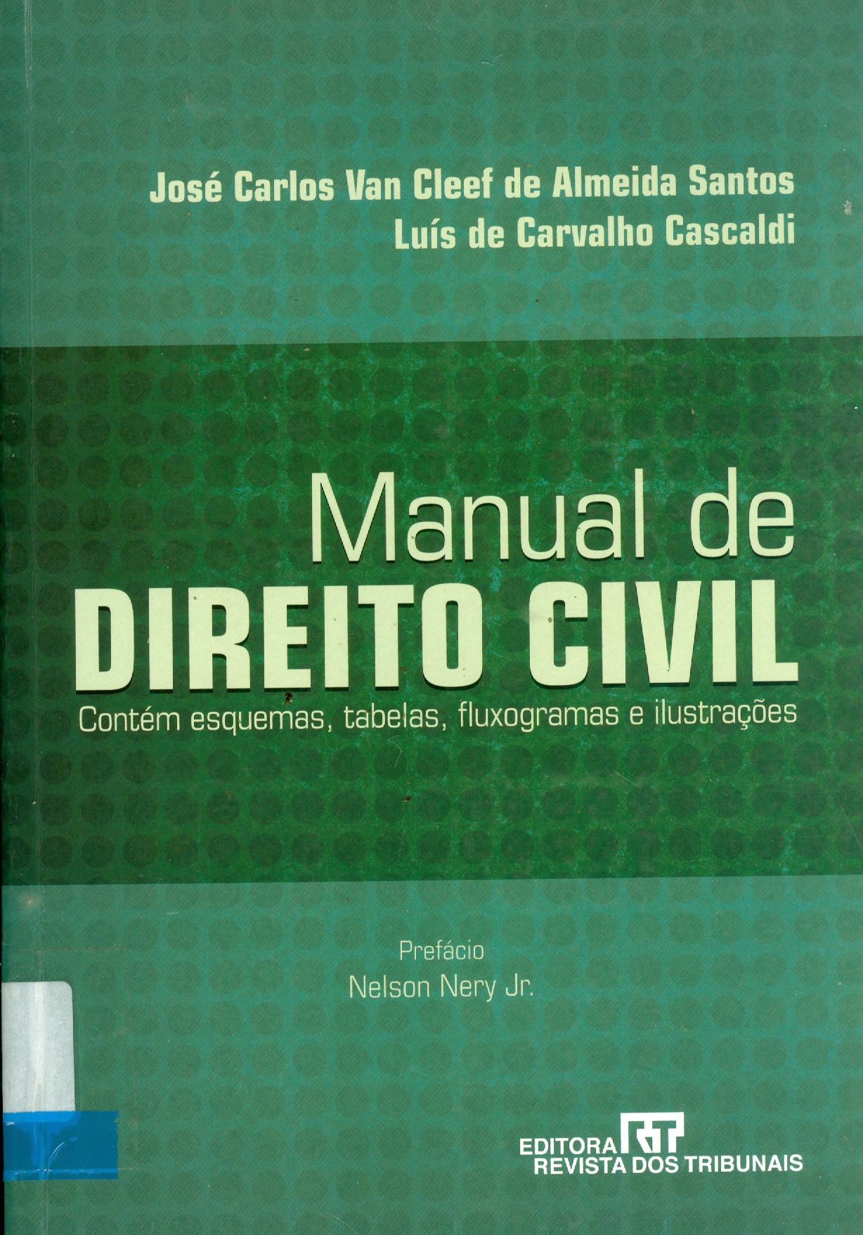 MANUAL DE DIREITO CIVIL