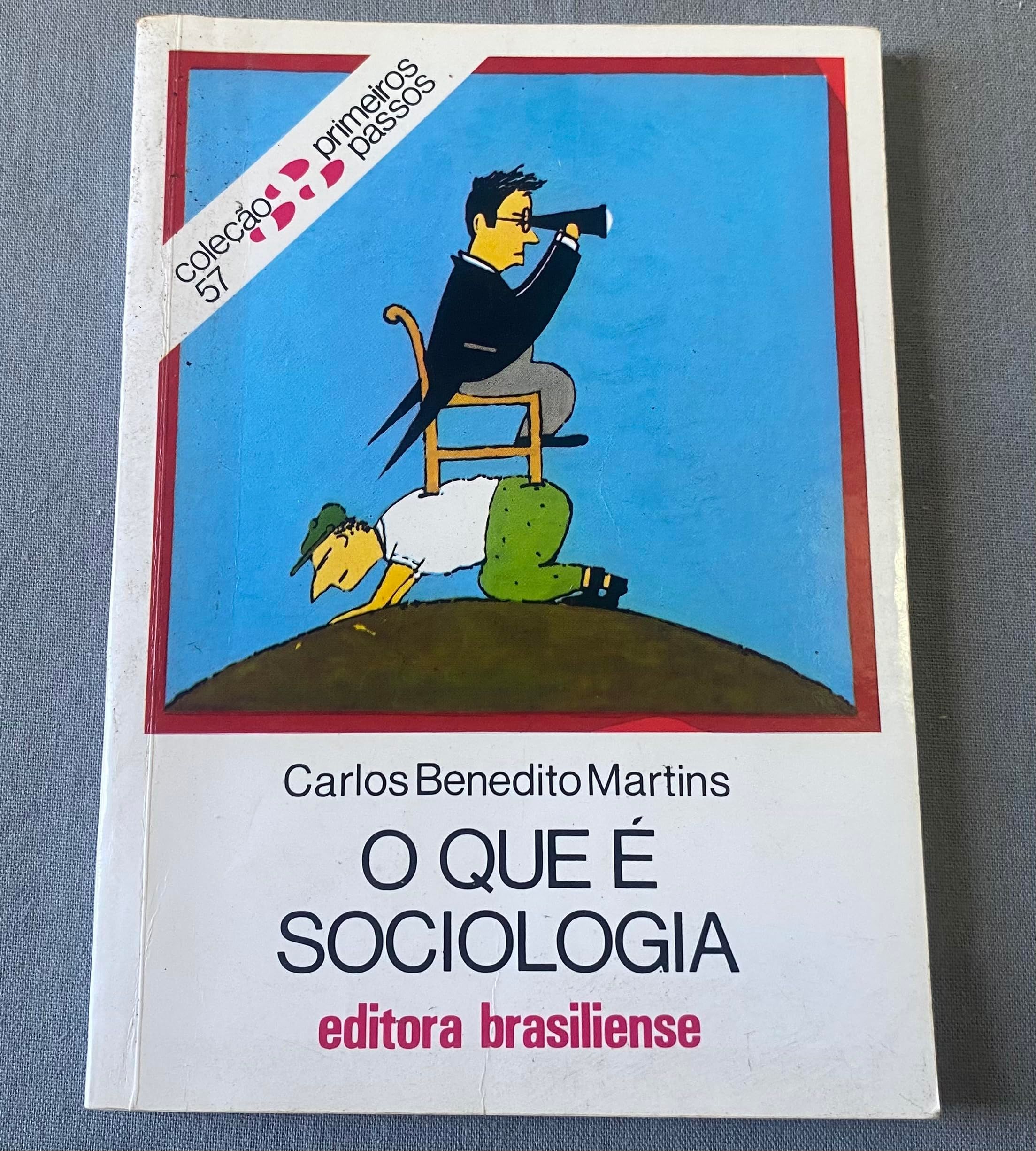 QUE É SOCIOLOGIA, O