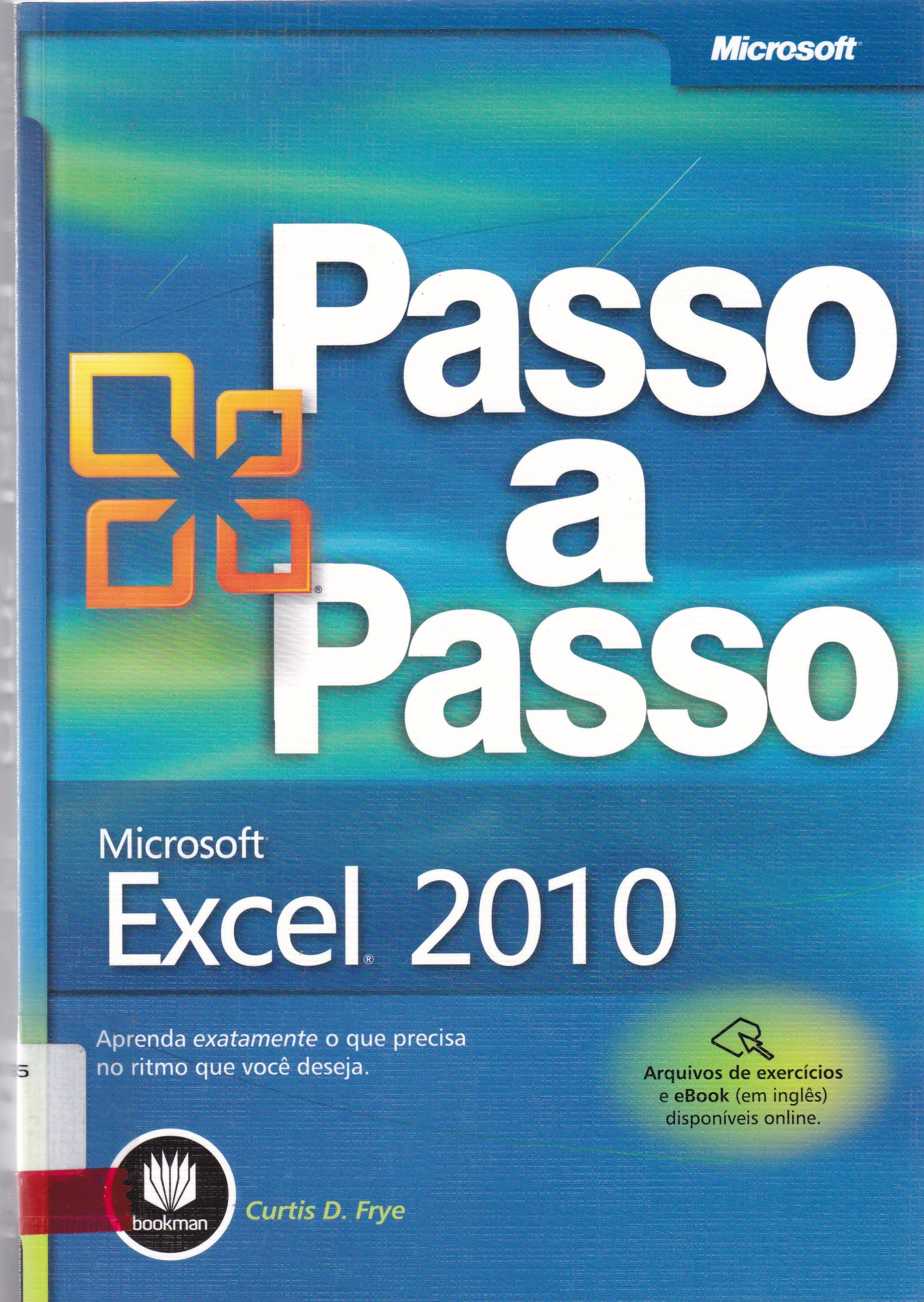 MICROSOFT EXCEL 2010: PASSO A PASSO