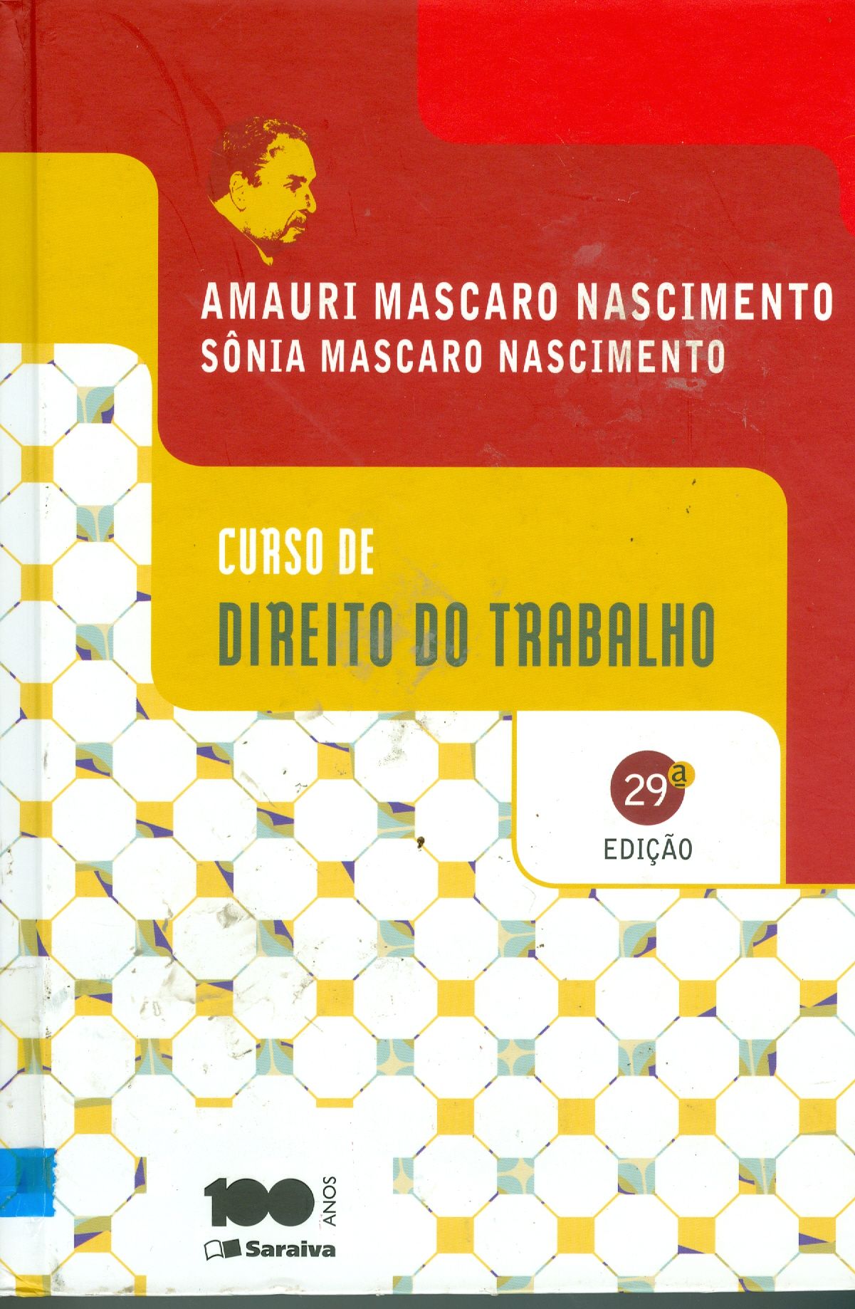 CURSO DE DIREITO DO TRABALHO: HISTÓRIA E TEORIA GERAL DO DIREITO DO TRABALHO, RELAÇÕES INDIVIDUAIS E COLETIVAS DO TRABALHO 
