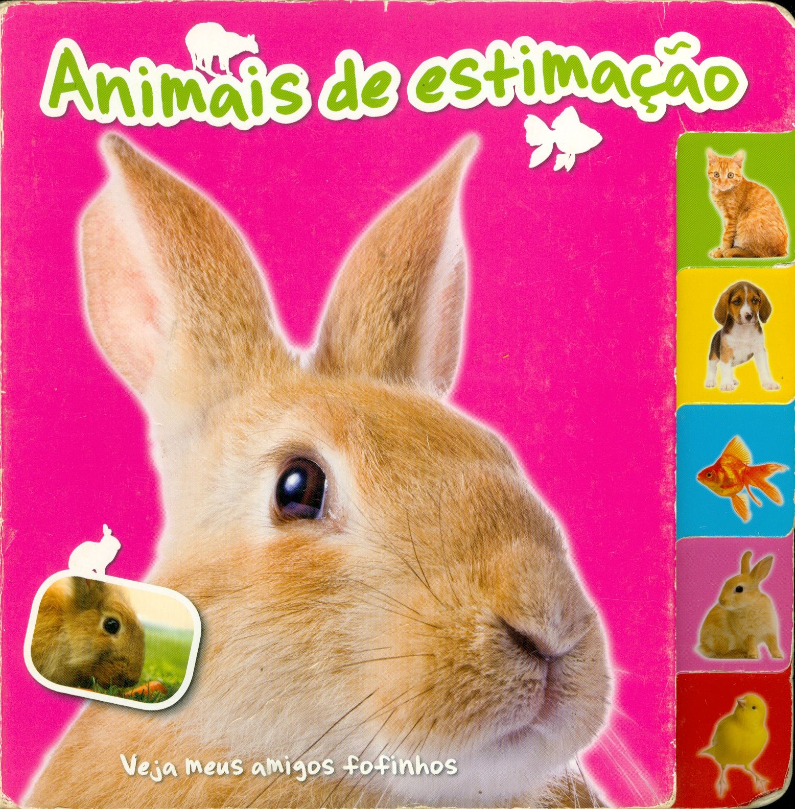 ANIMAIS DE ESTIMAÇÃO