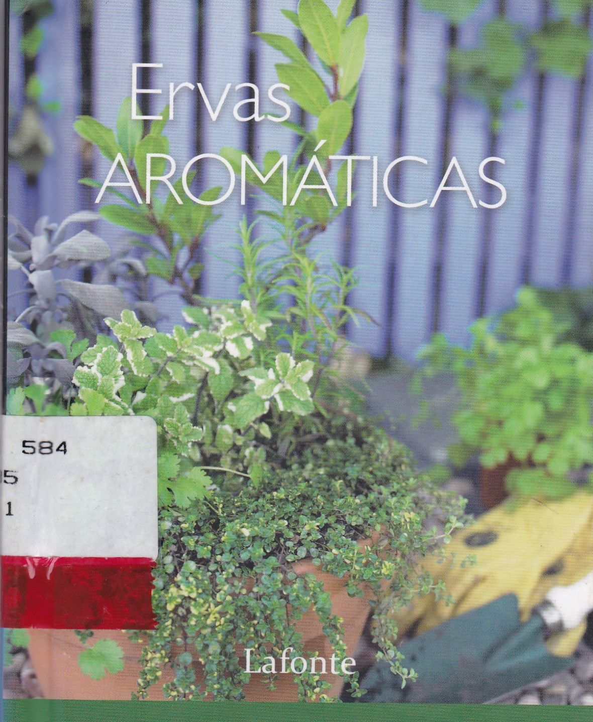 ERVAS AROMÁTICAS