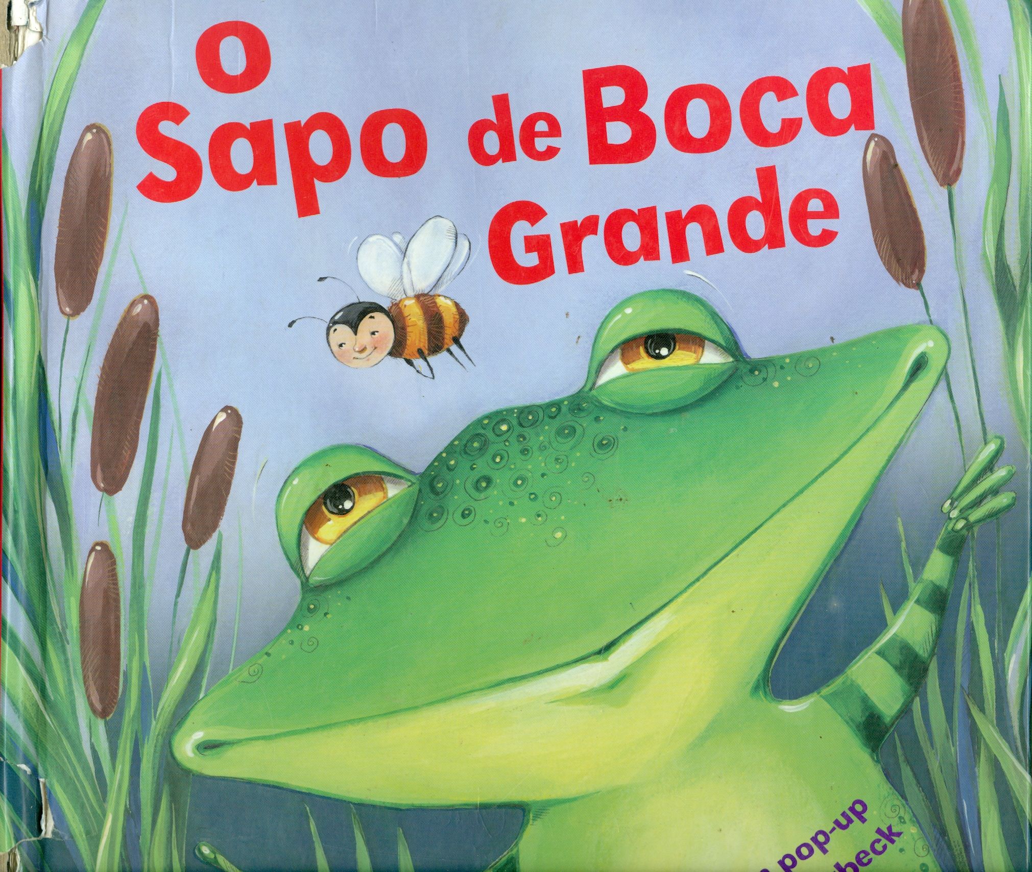 SAPO DA BOCA GRANDE, O