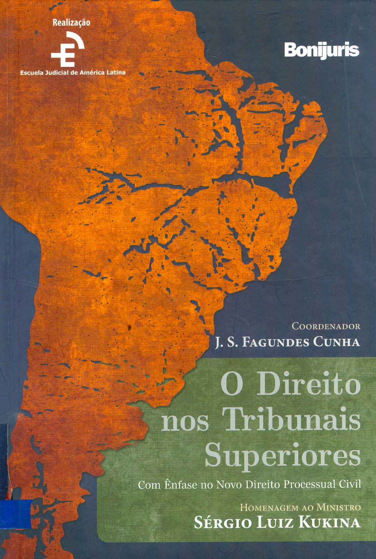 DIREITO NOS TRIBUNAIS SUPERIORES: COM ÊNFASE NO NOVO DIREITO PROCESSUAL CIVIL, O