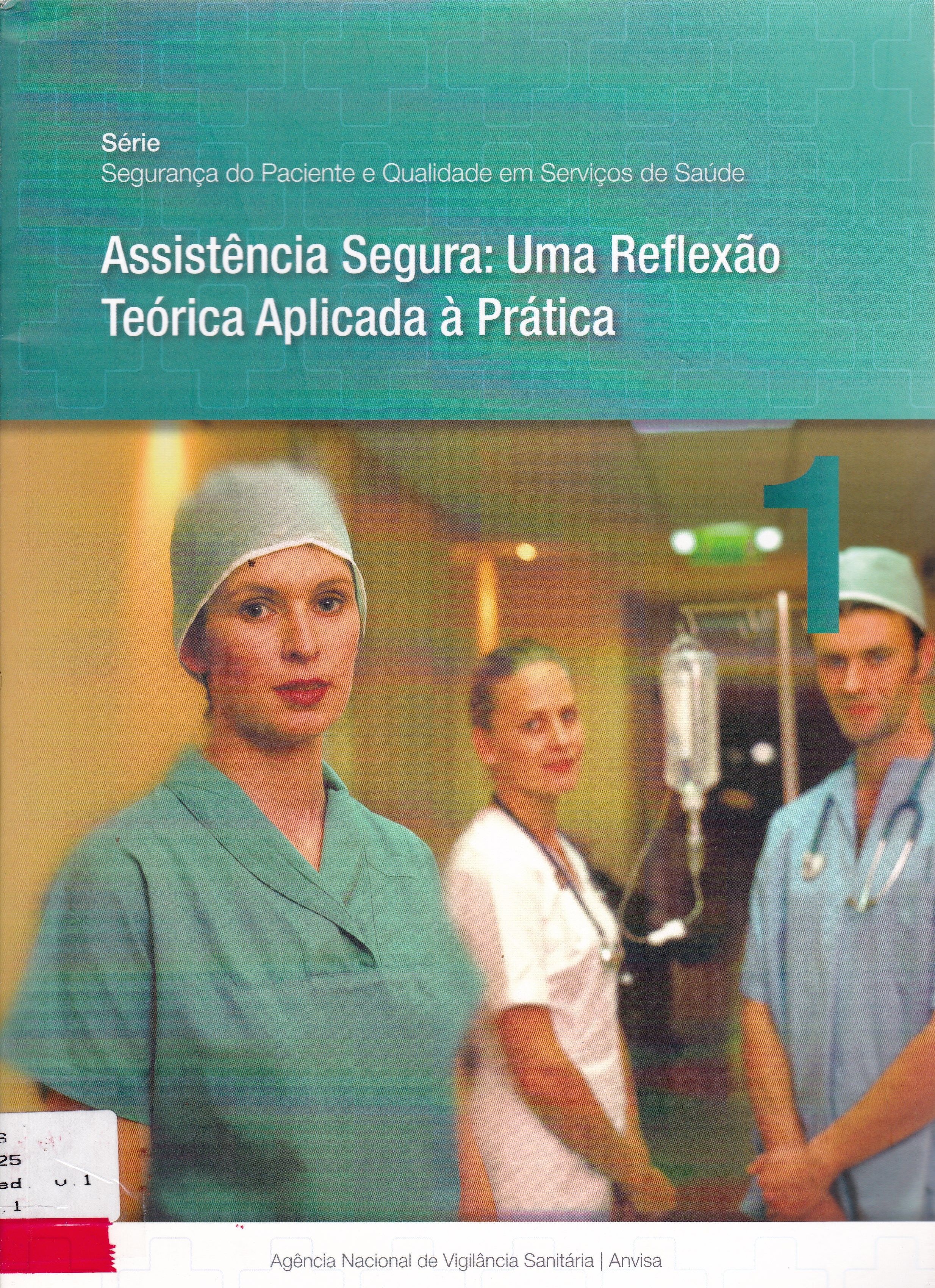 ASSISTÊNCIA SEGURA: UMA REFLEXÃO TEÓRICA APLICADA À PRÁTICA