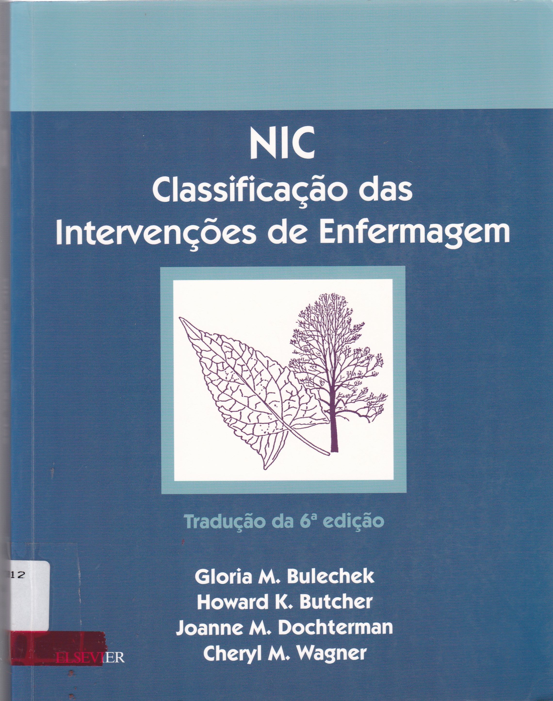 CLASSIFICAÇÃO DAS INTERVENÇÕES DE ENFERMAGEM ( NIC )