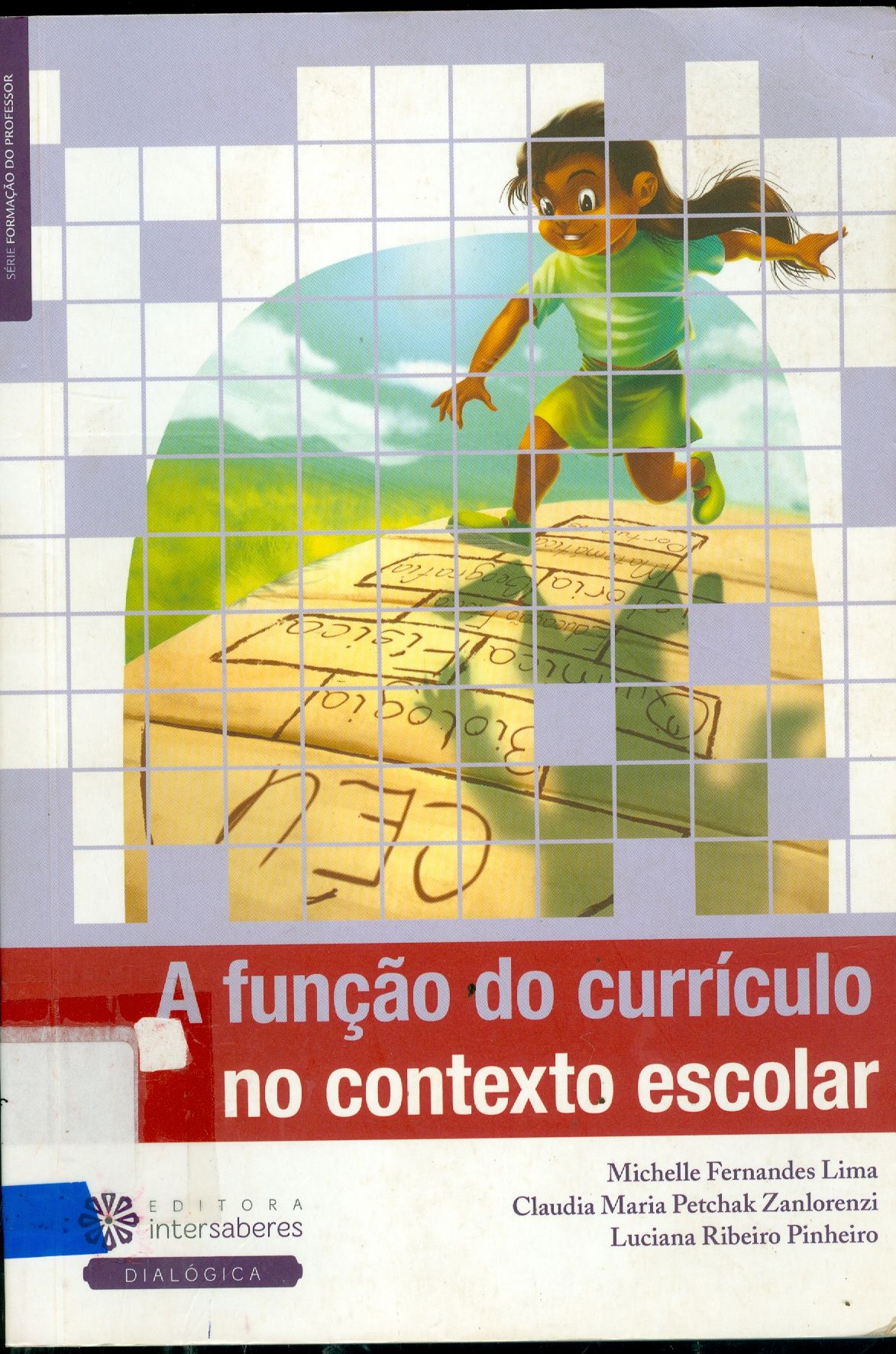 FUNÇÃO DO CURRÍCULO NO CONTEXTO ESCOLAR, A