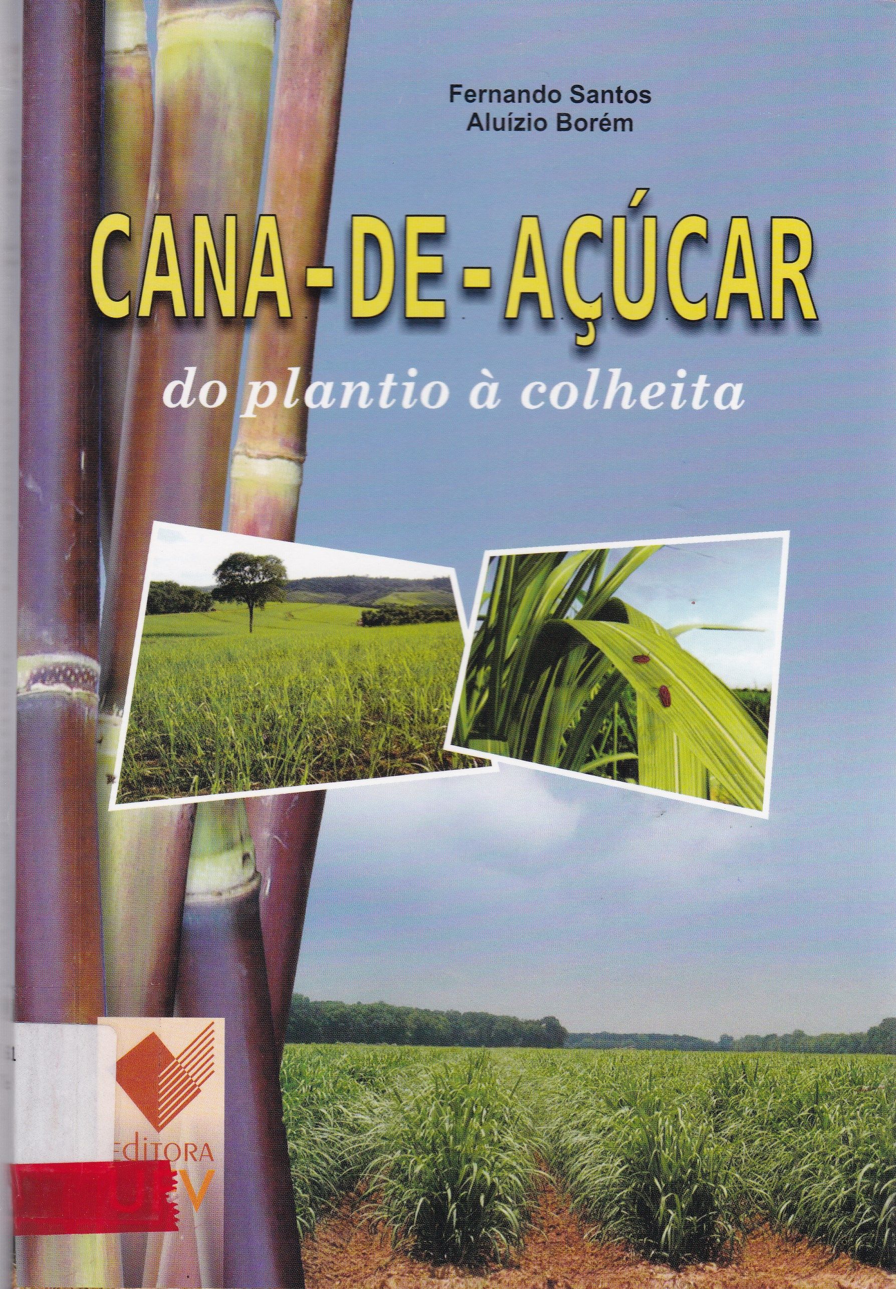 CANA - DE- AÇÚCAR: DO PLANTIO À COLHEITA