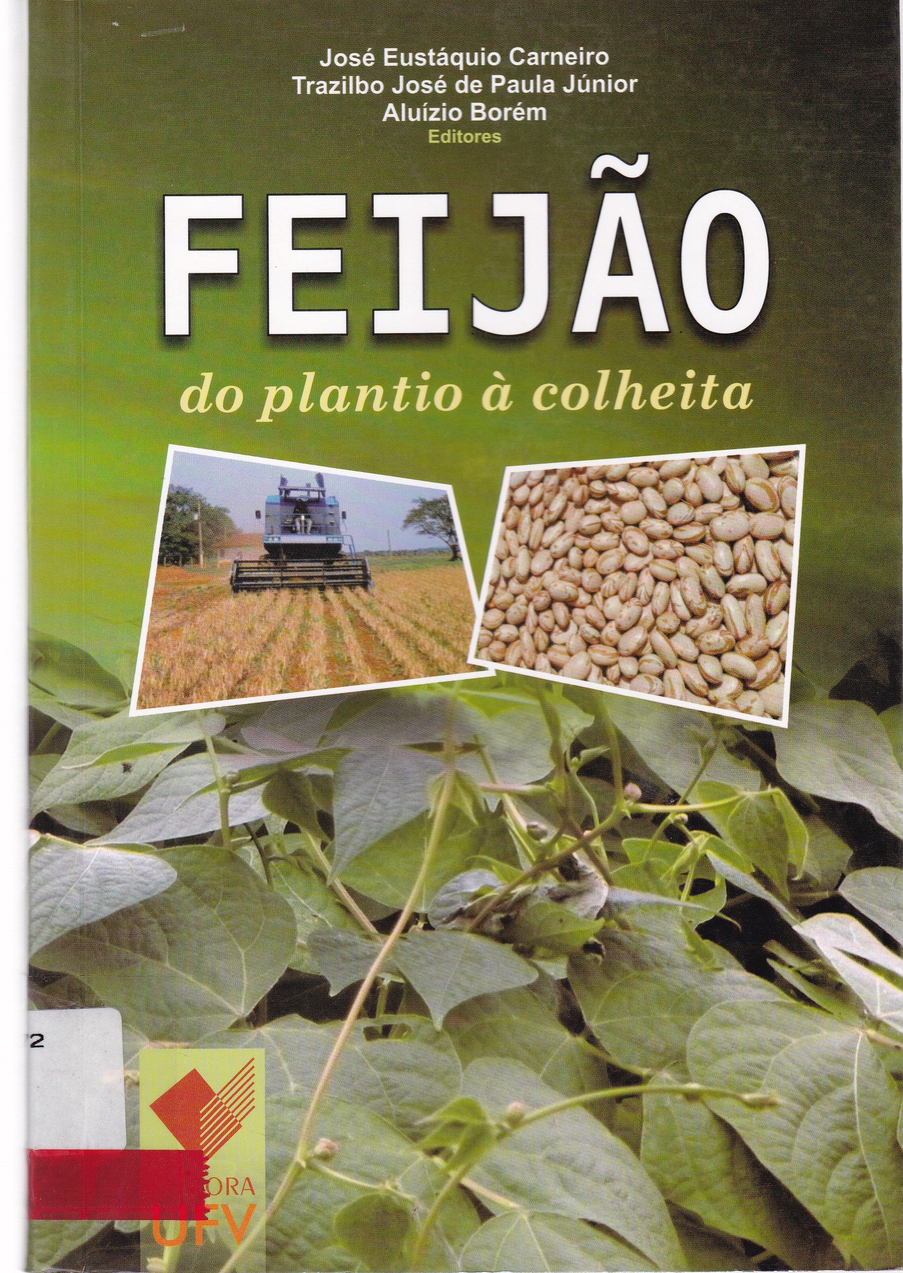 FEIJÃO: DO PLANTIO À COLHEITA