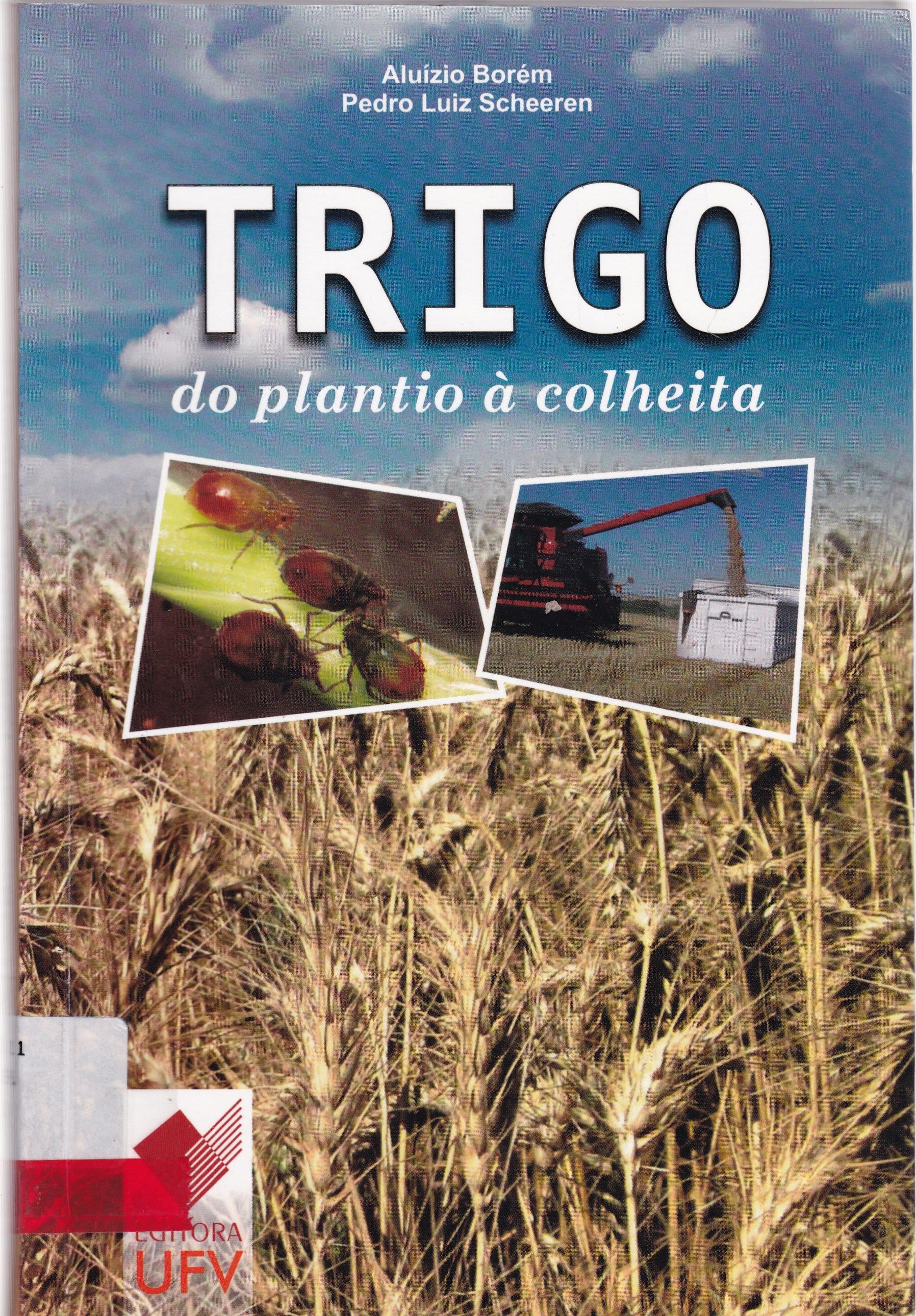 TRIGO: DO PLANTIO À COLHEITA