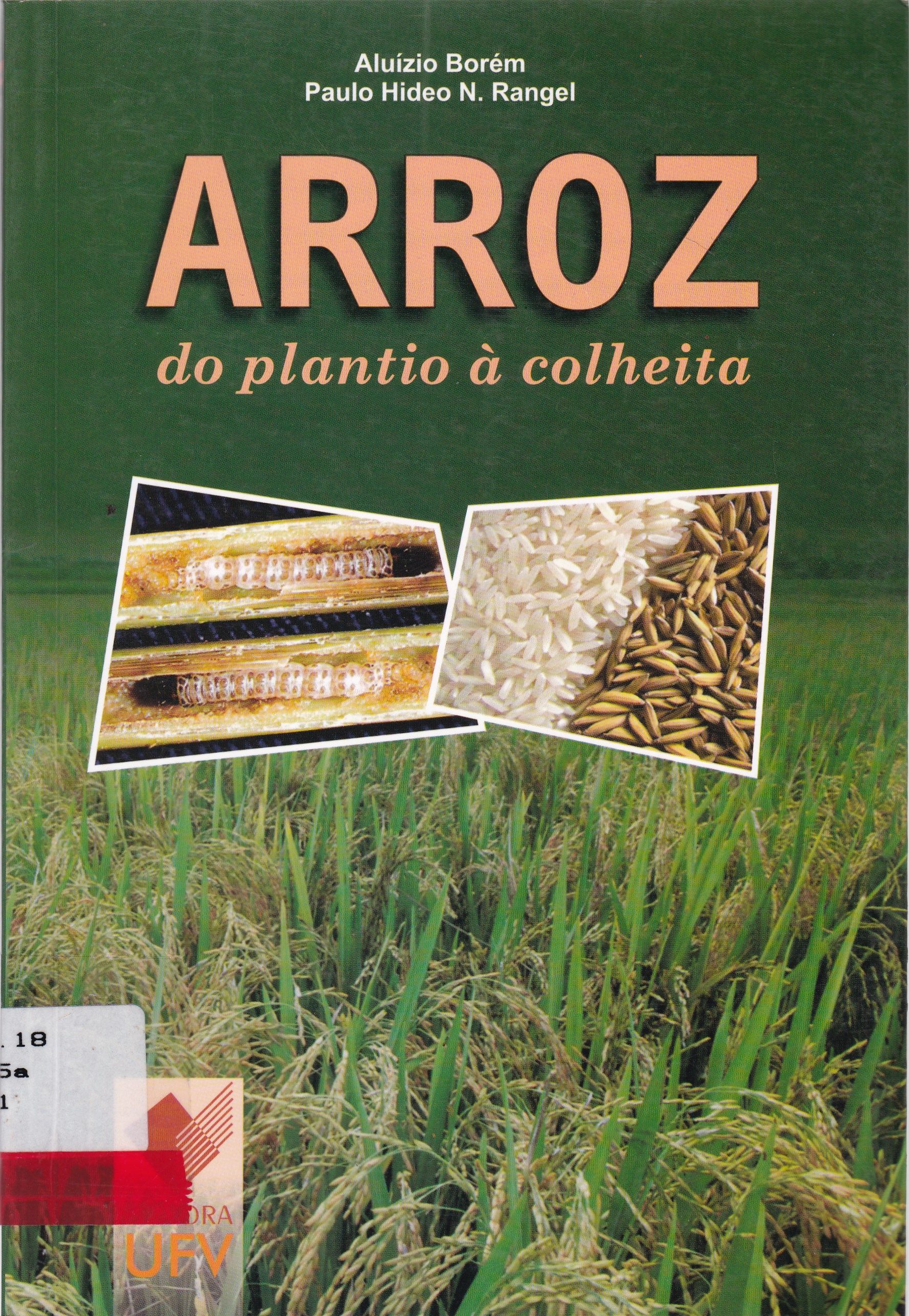ARROZ: DO PLANTIO À COLHEITA