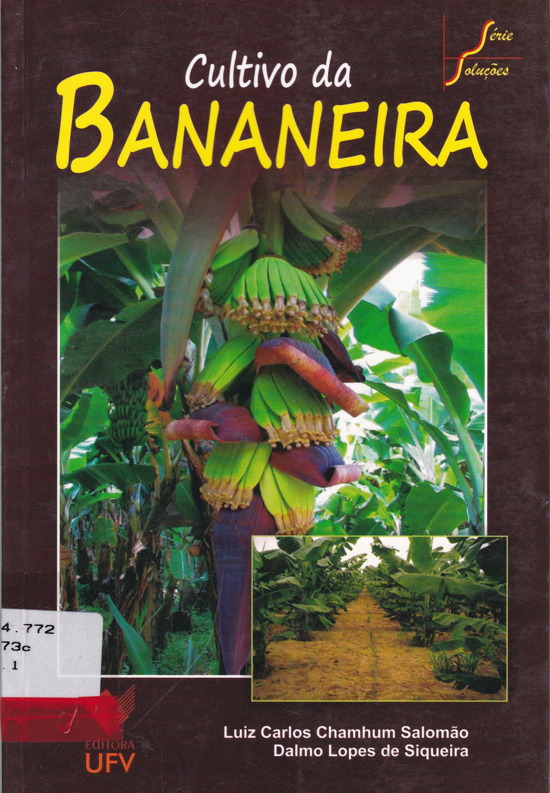 CULTIVO DA BANANEIRA