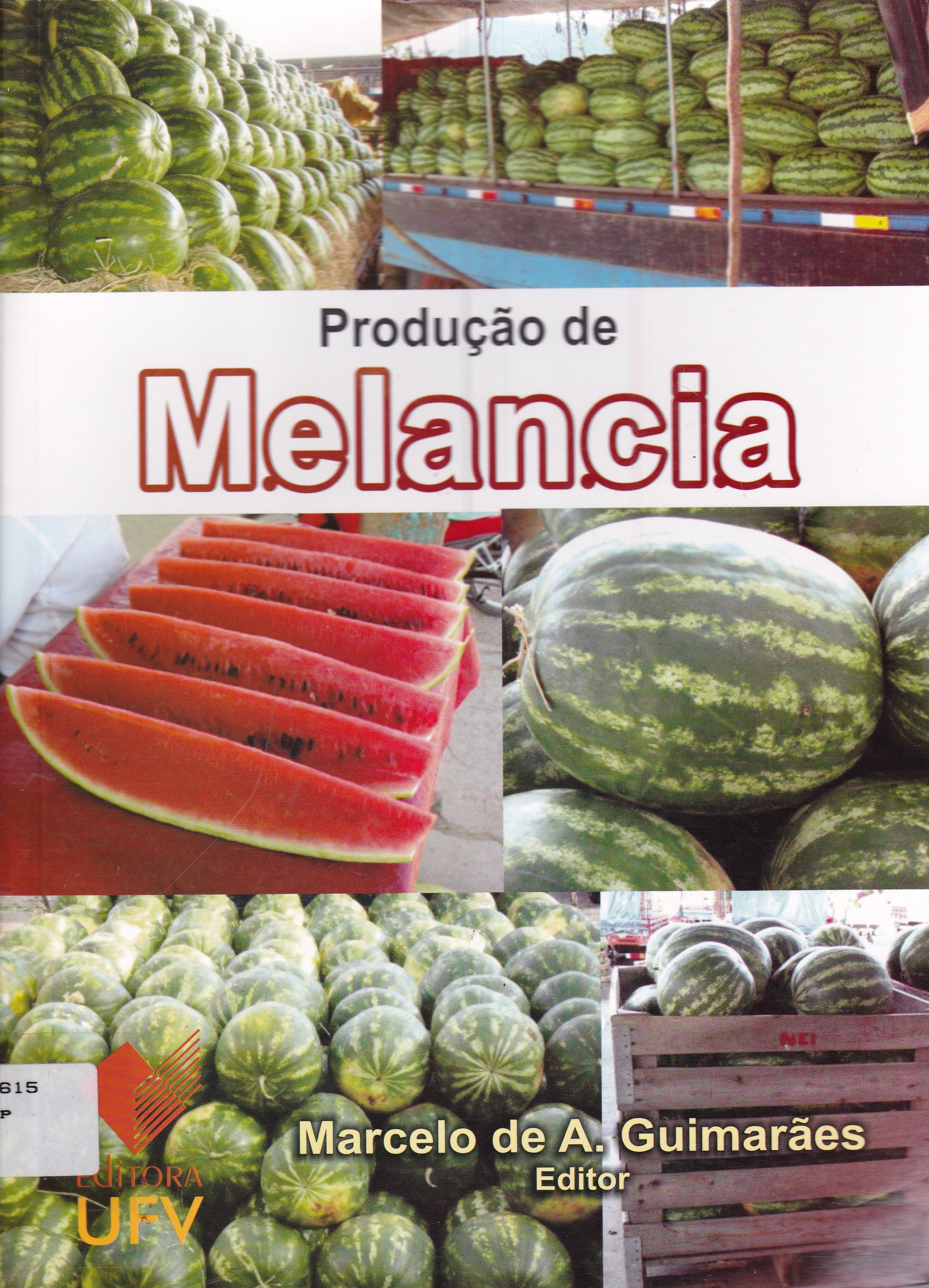 PRODUÇÃO DE MELANCIA