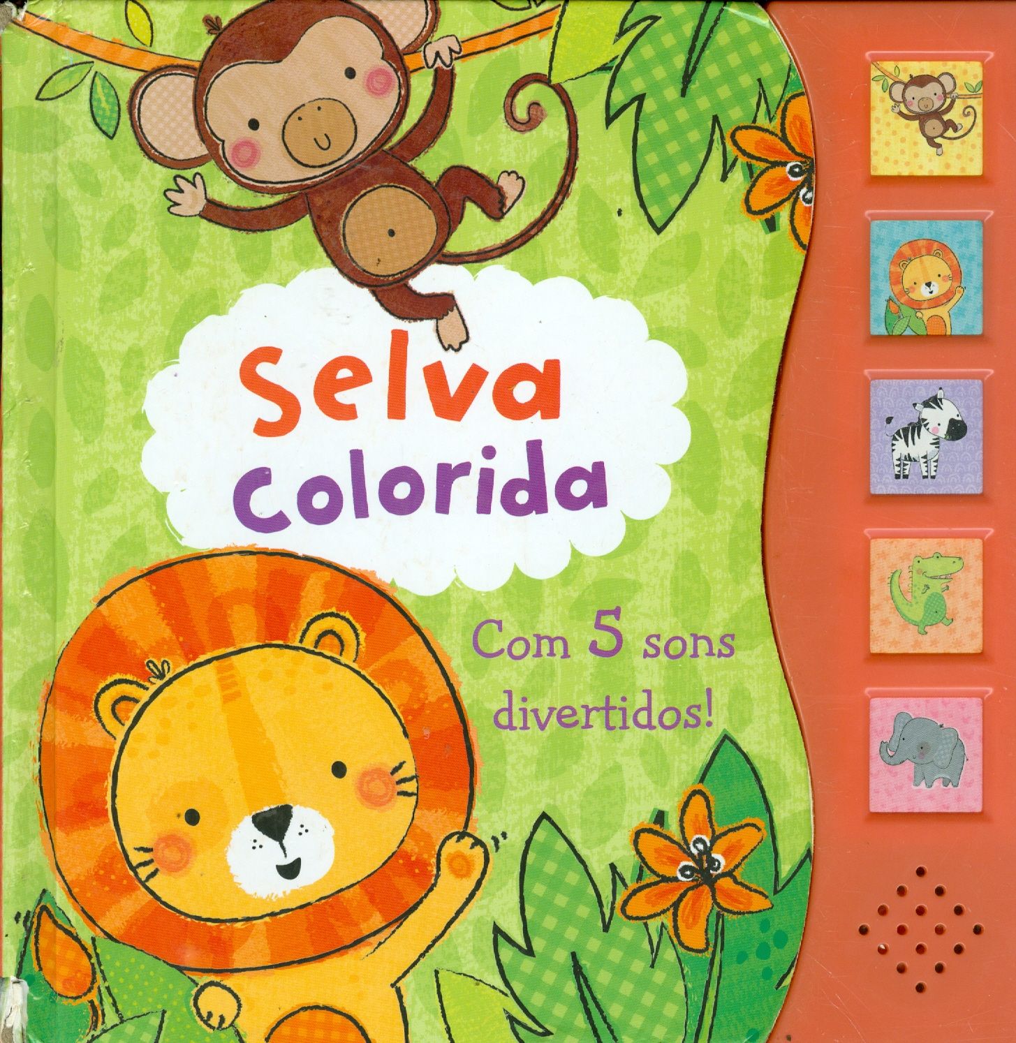 SELVA COLORIDA