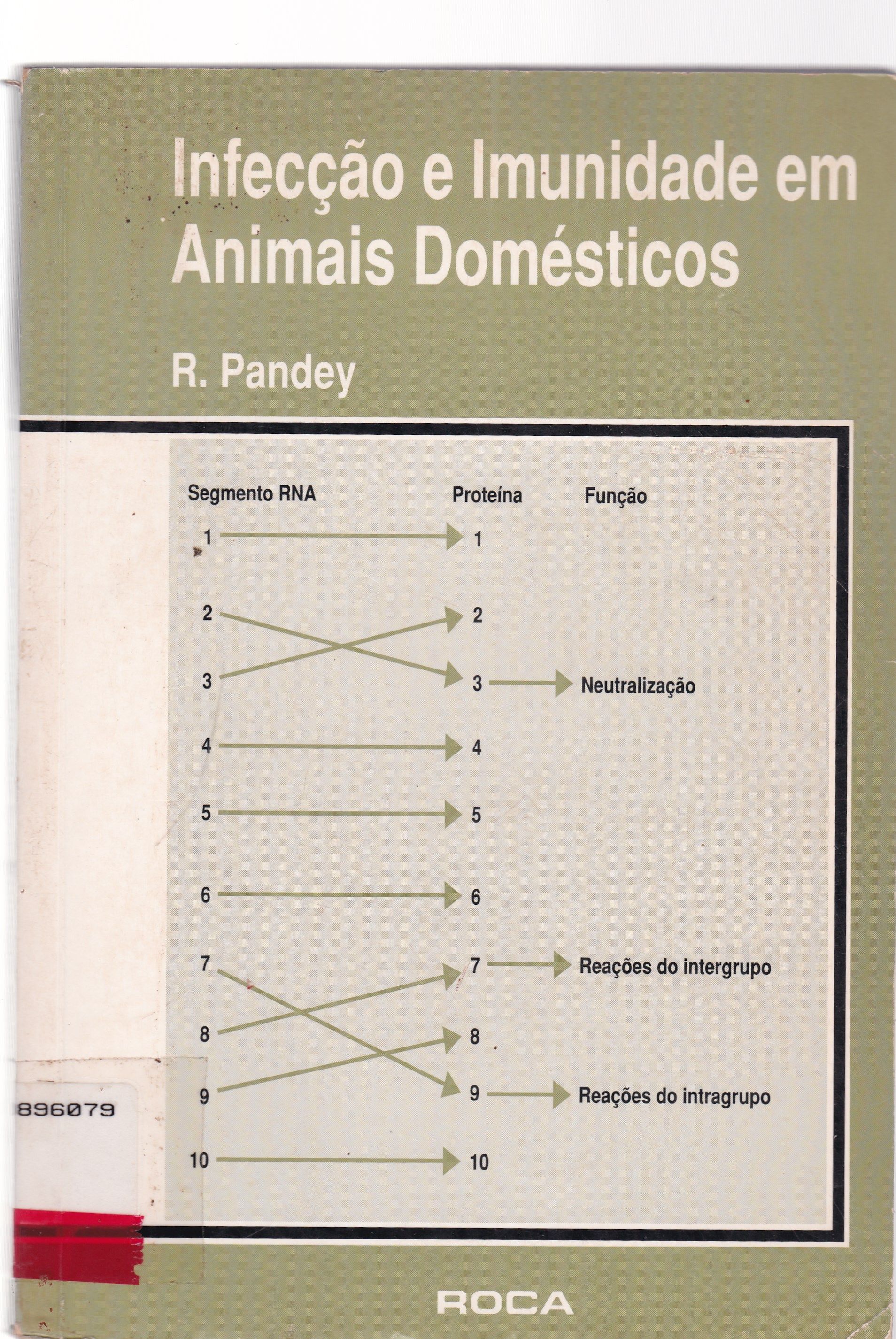 INFECÇÃO E IMUNIDADE EM ANIMAIS DOMÉSTICOS