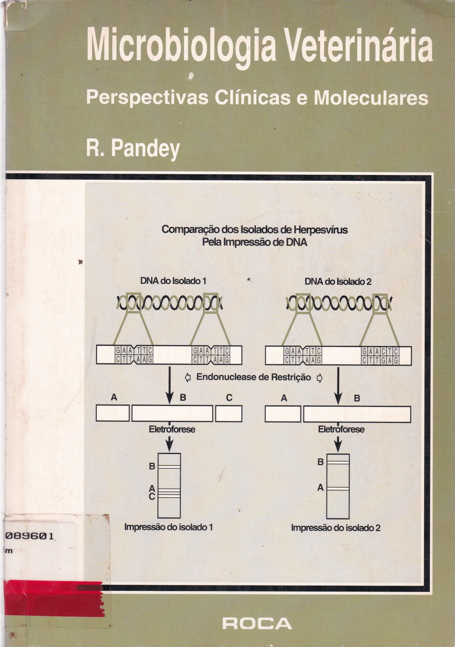 MICROBIOLOGIA VETERINÁRIA : PERSPECTIVAS CLÍNICAS E MOLECULARES