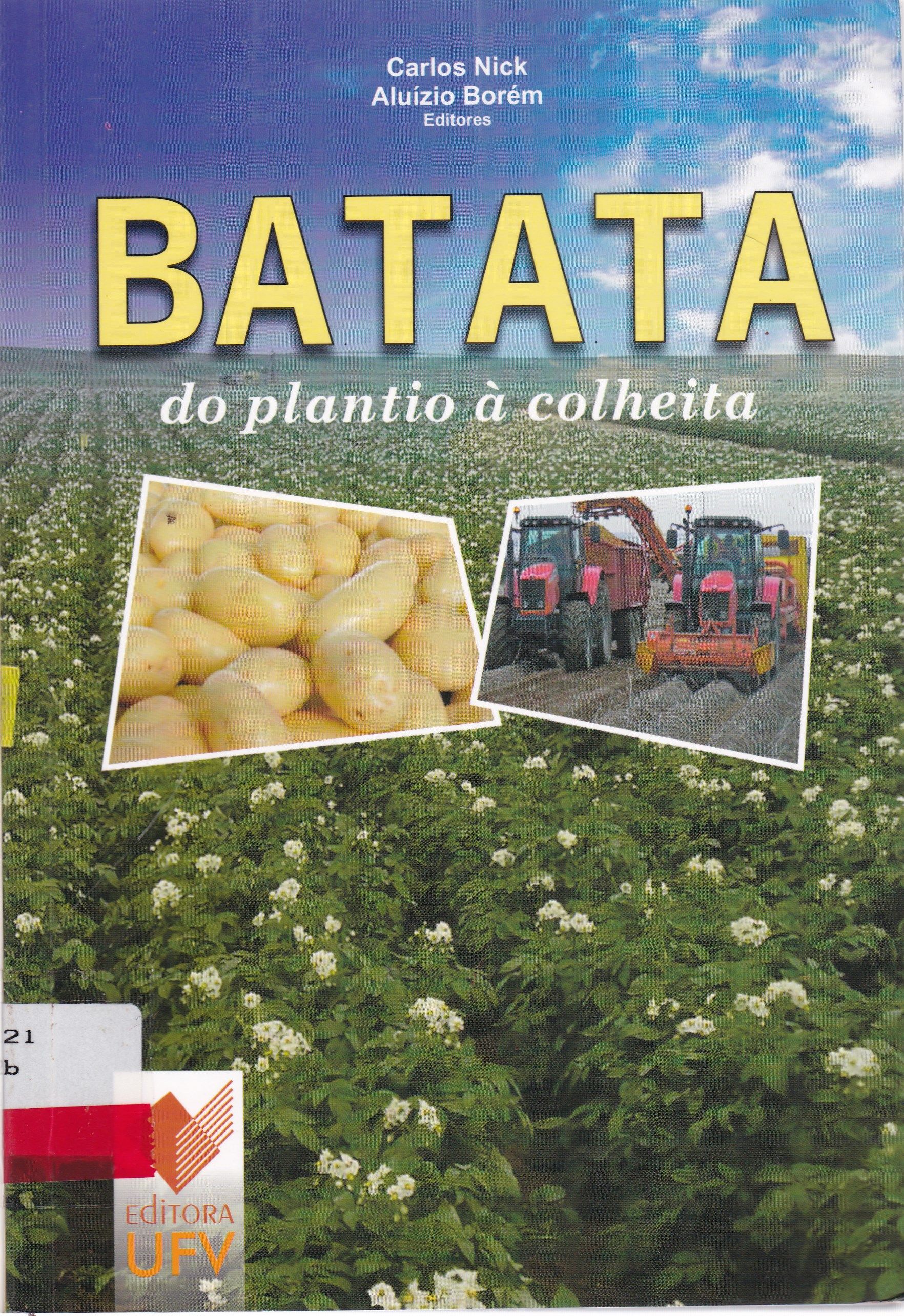 BATATA: DO PLANTIO À COLHEITA