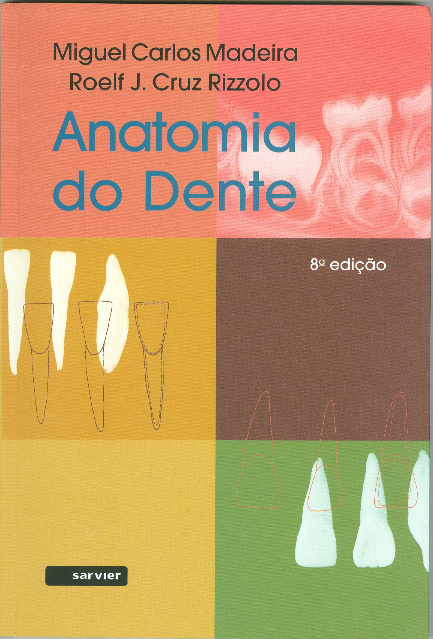 ANATOMIA DO DENTE
