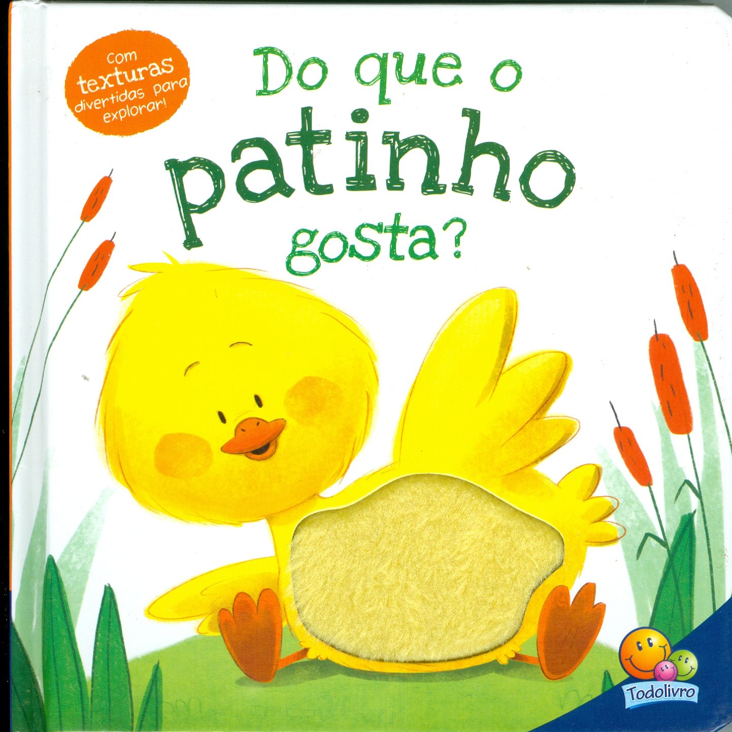 DO QUE O PATINHO GOSTA?