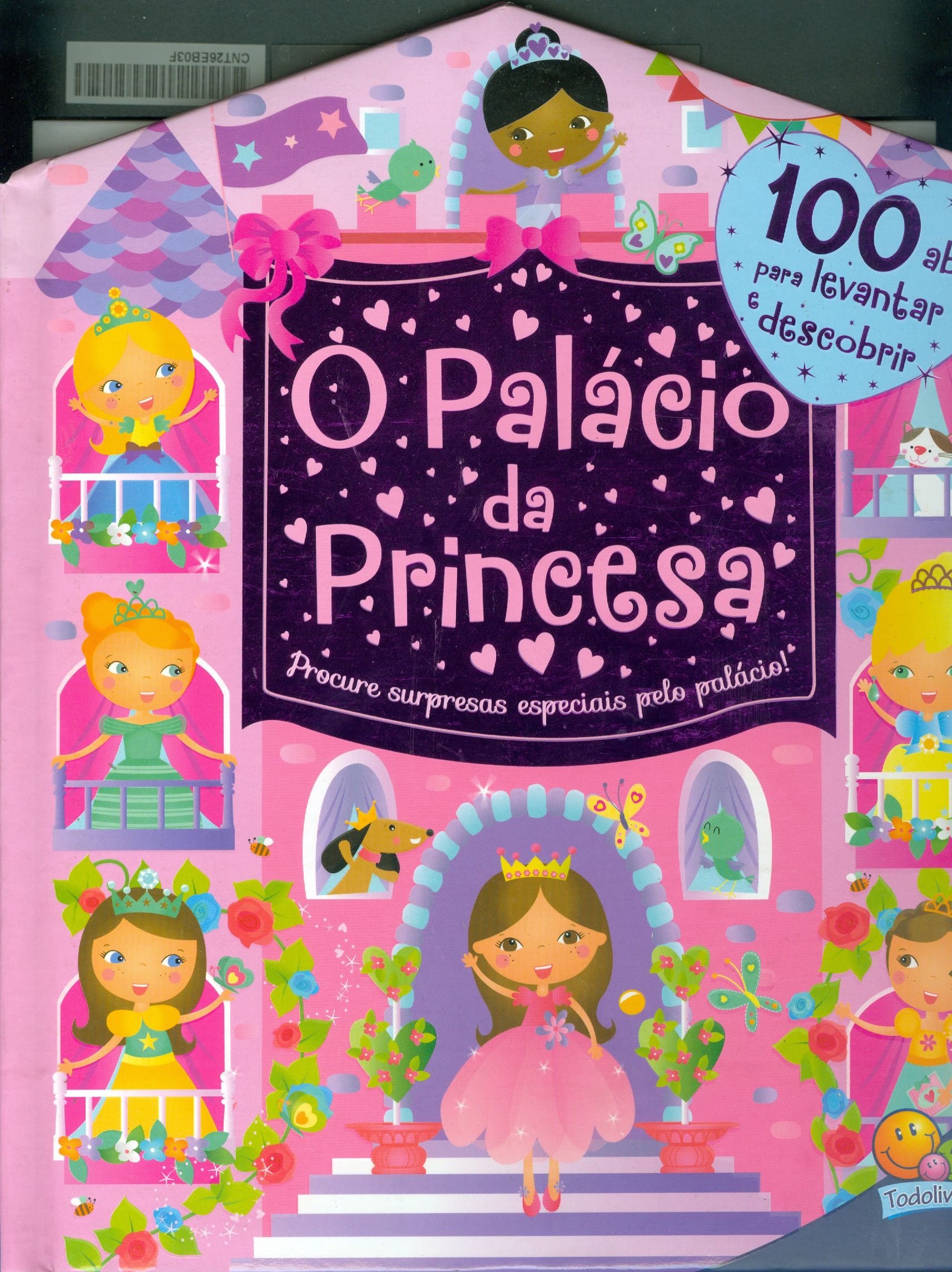 PALÁCIO DA PRINCESA,O
