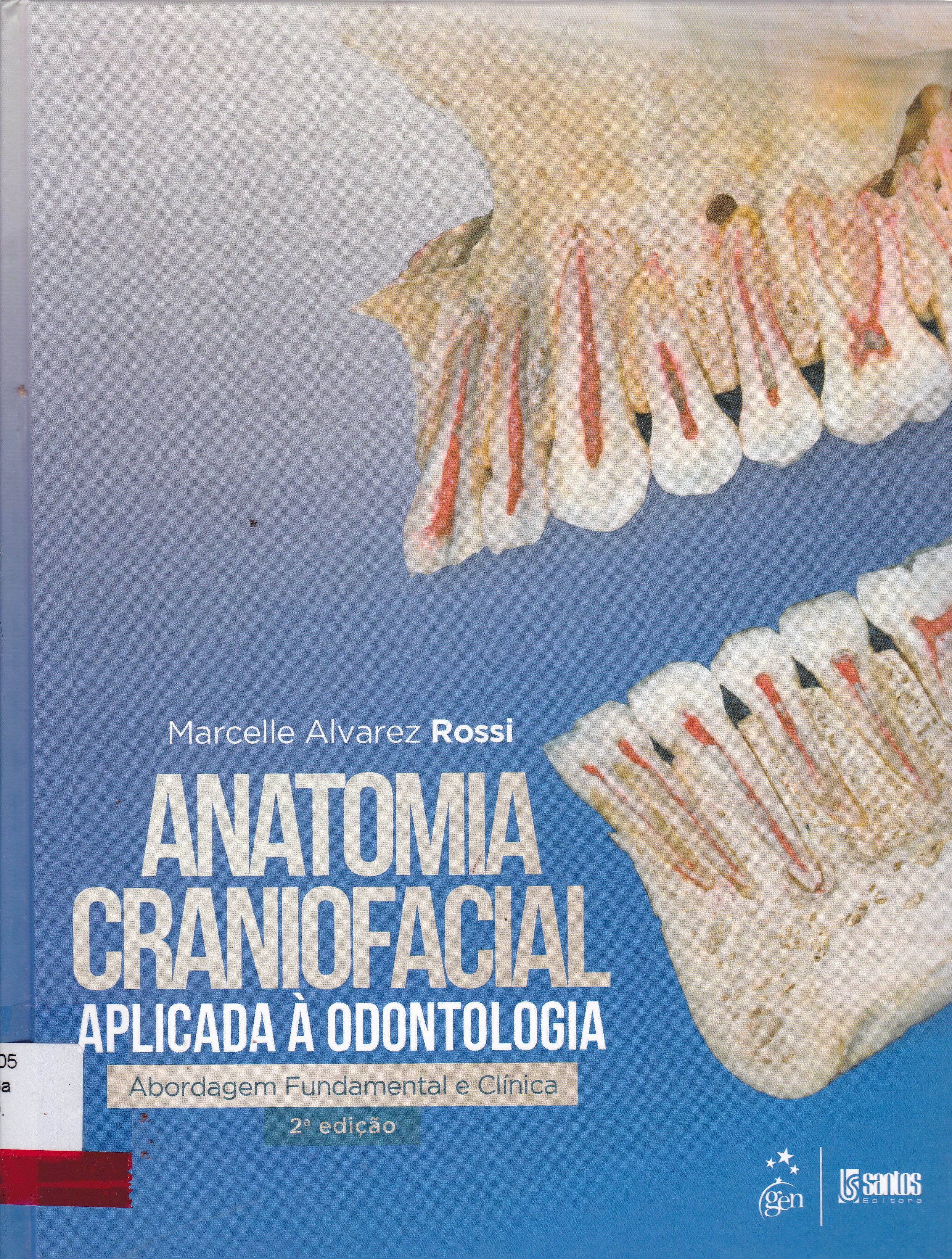 ANATOMIA CRANIOFACIAL APLICADA À ODONTOLOGIA