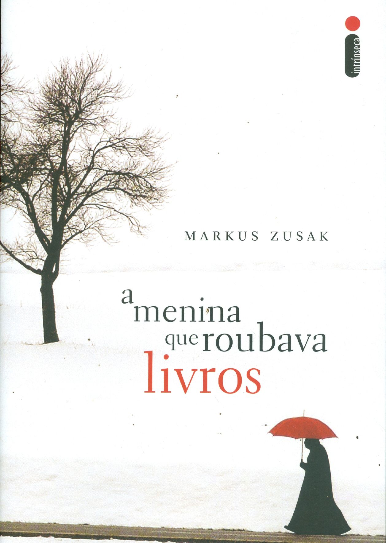 MENINA QUE ROUBAVA LIVROS, A