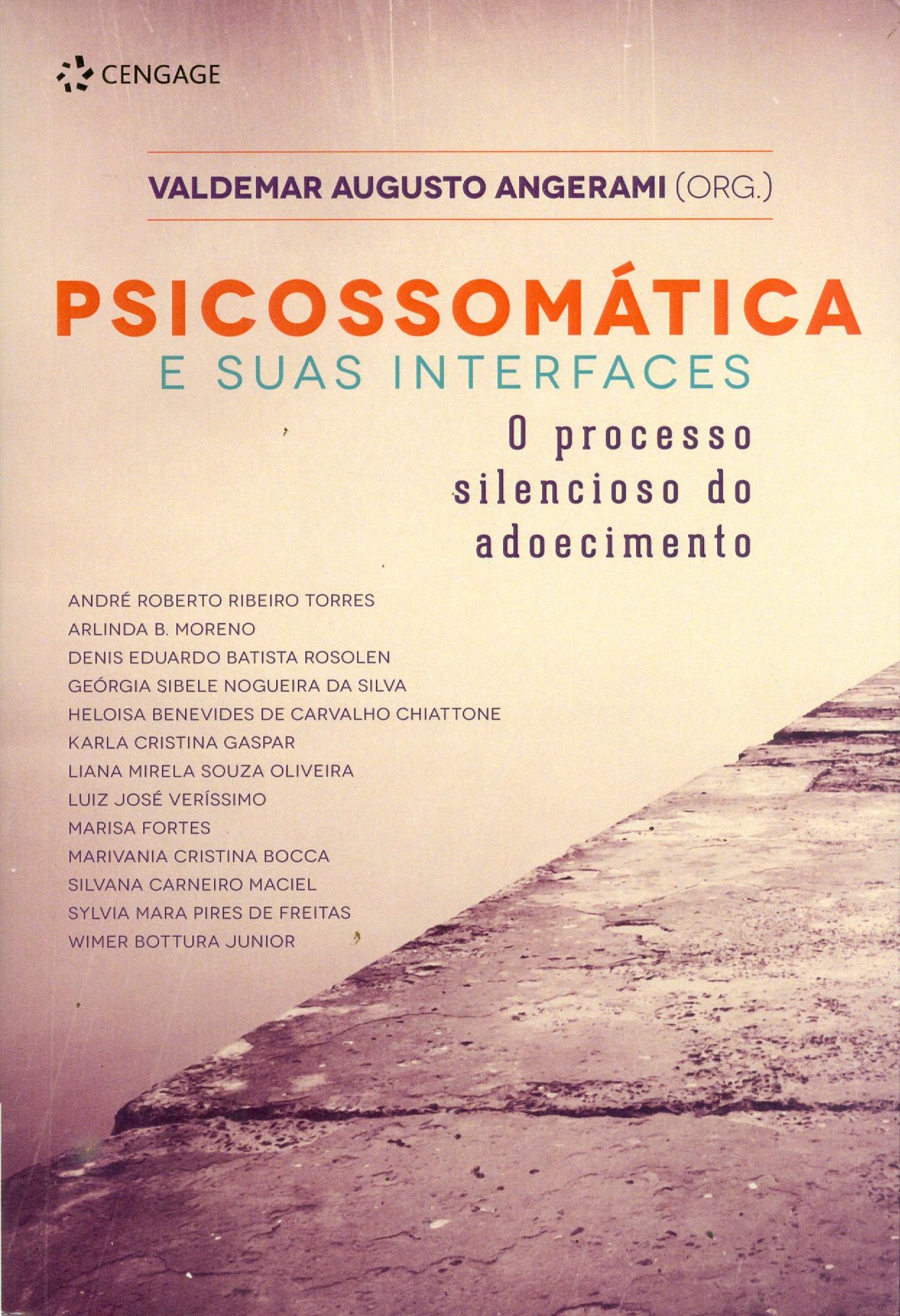 PSICOSSOMÁTICA E SUAS INTERFACES
