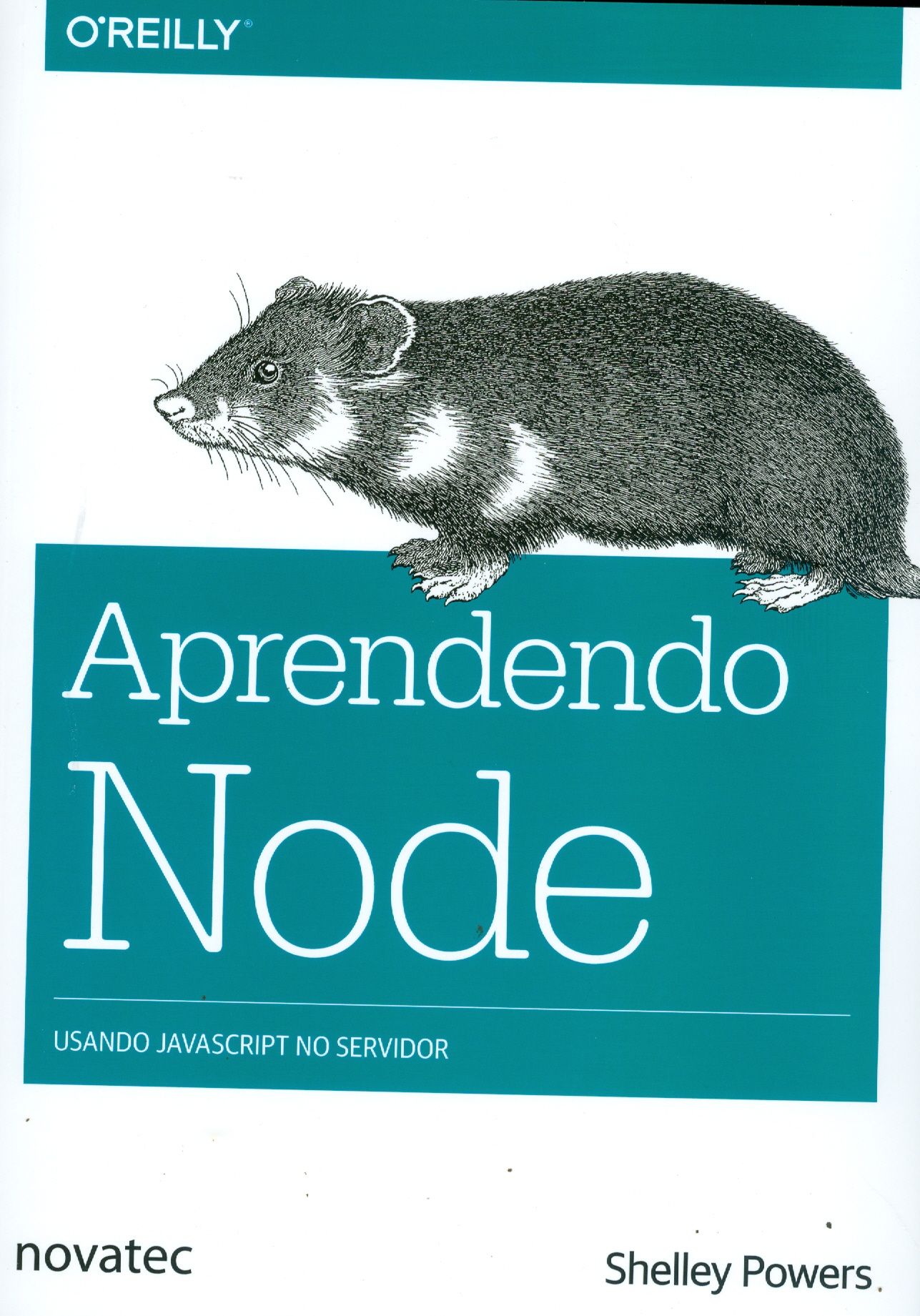 APRENDENDO NODE