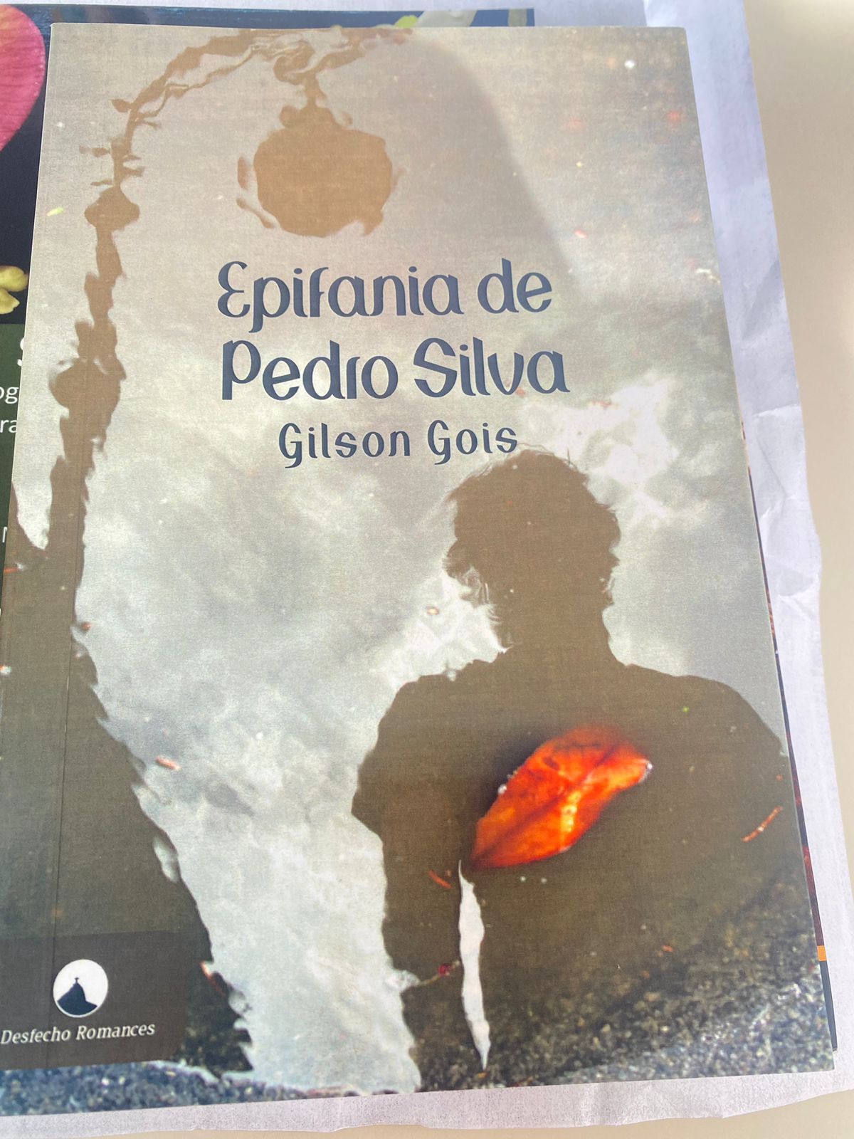 EPIFANIA DE PEDRO SILVA