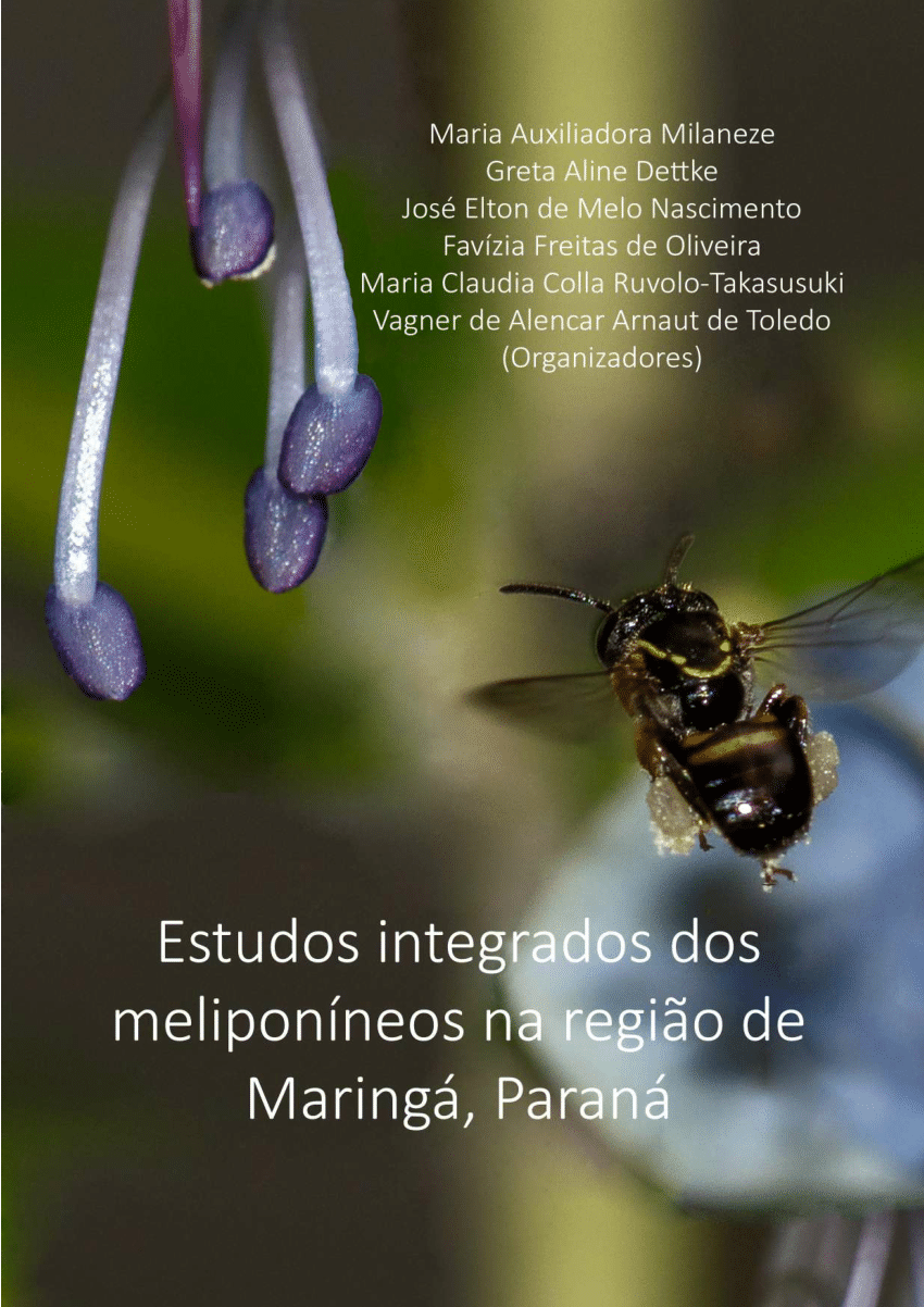 ESTUDOS INTEGRADOS DOS MELIPONÍNEOS NA REGIÃO DE MARINGÁ, PARANÁ
