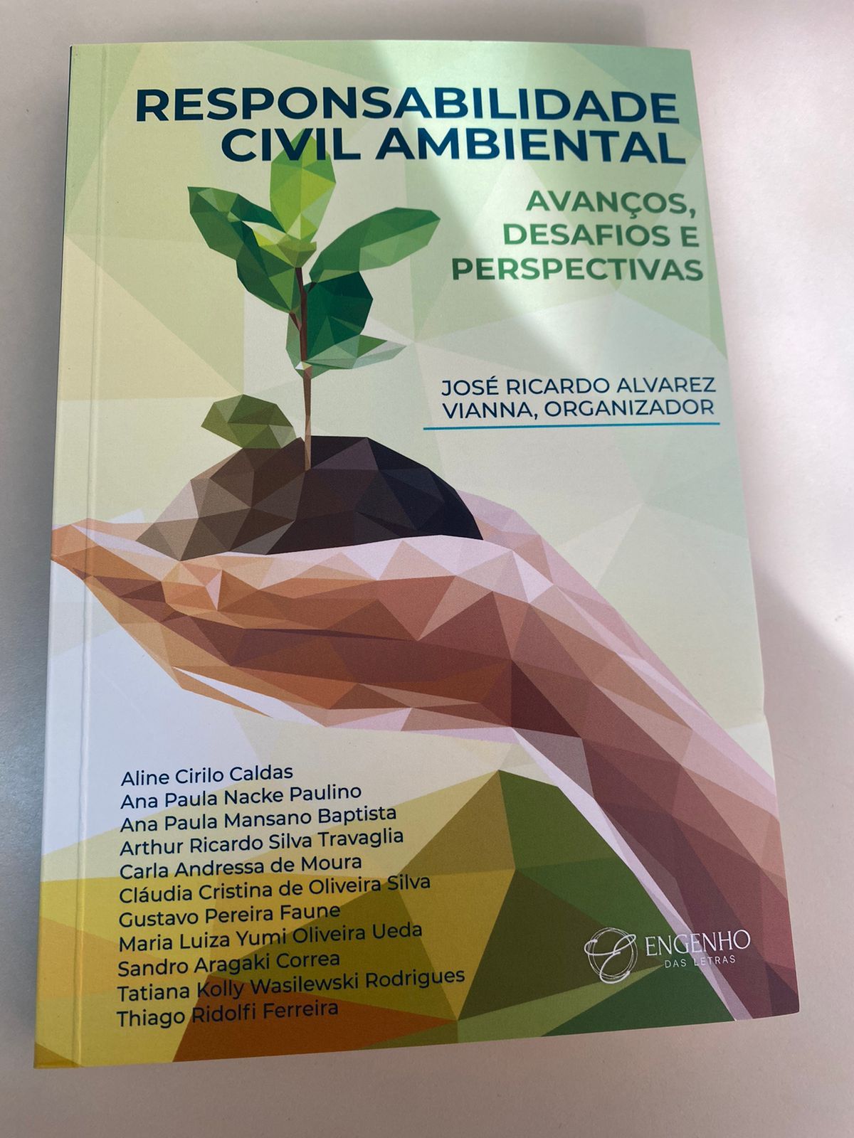 RESPONSABILIDADE CIVIL AMBIENTAL