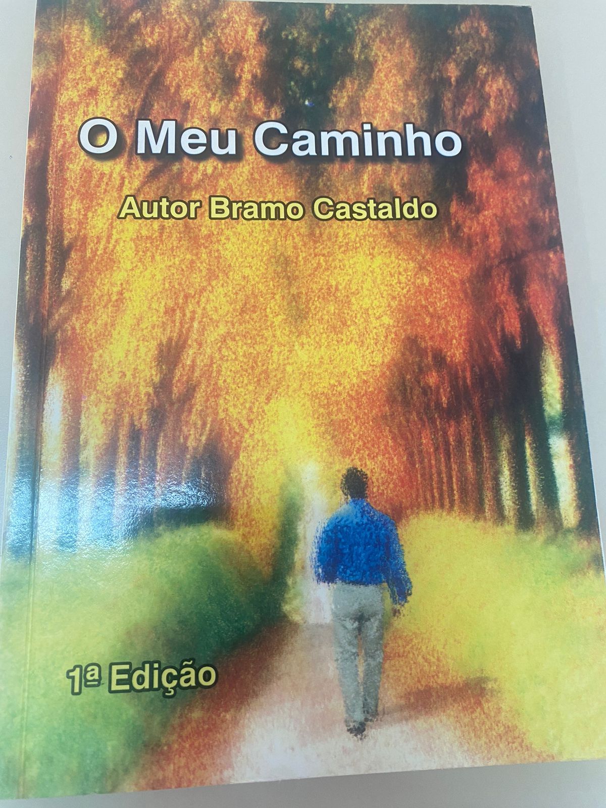 MEU CAMINHO, O 