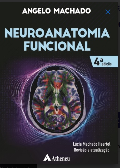 NEUROANATOMIA FUNCIONAL