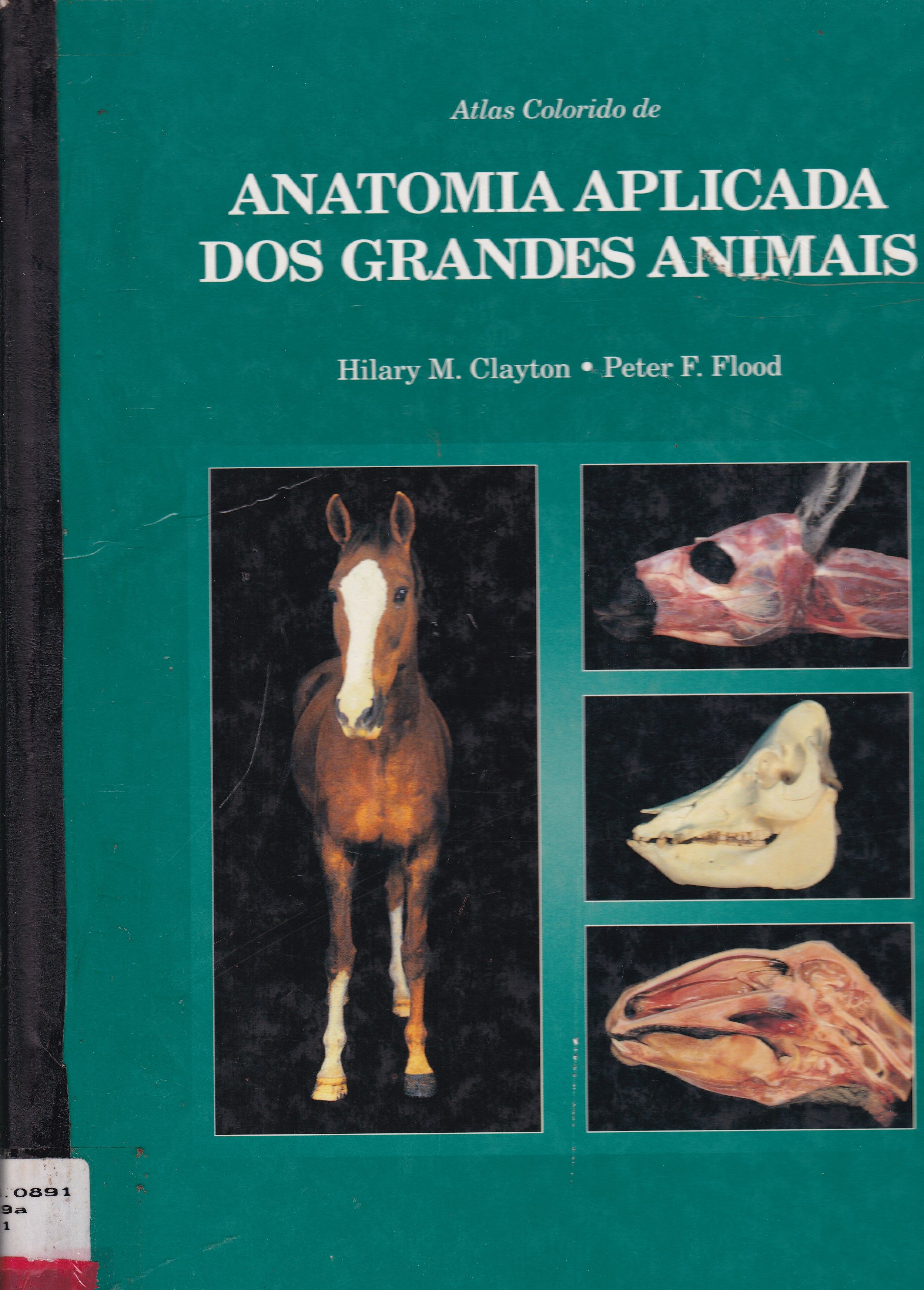 ANATOMIA APLICADA DOS GRANDES ANIMAIS