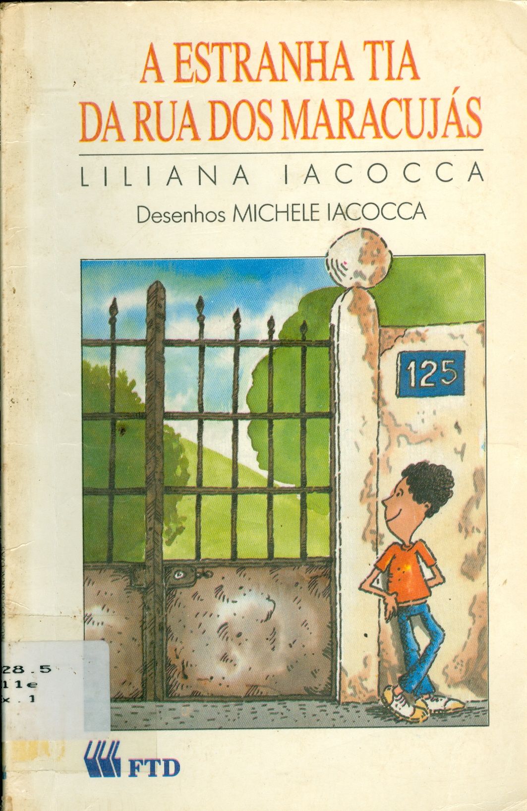 A ESTRANHA TIA DA RUA DOS MARACUJÁS