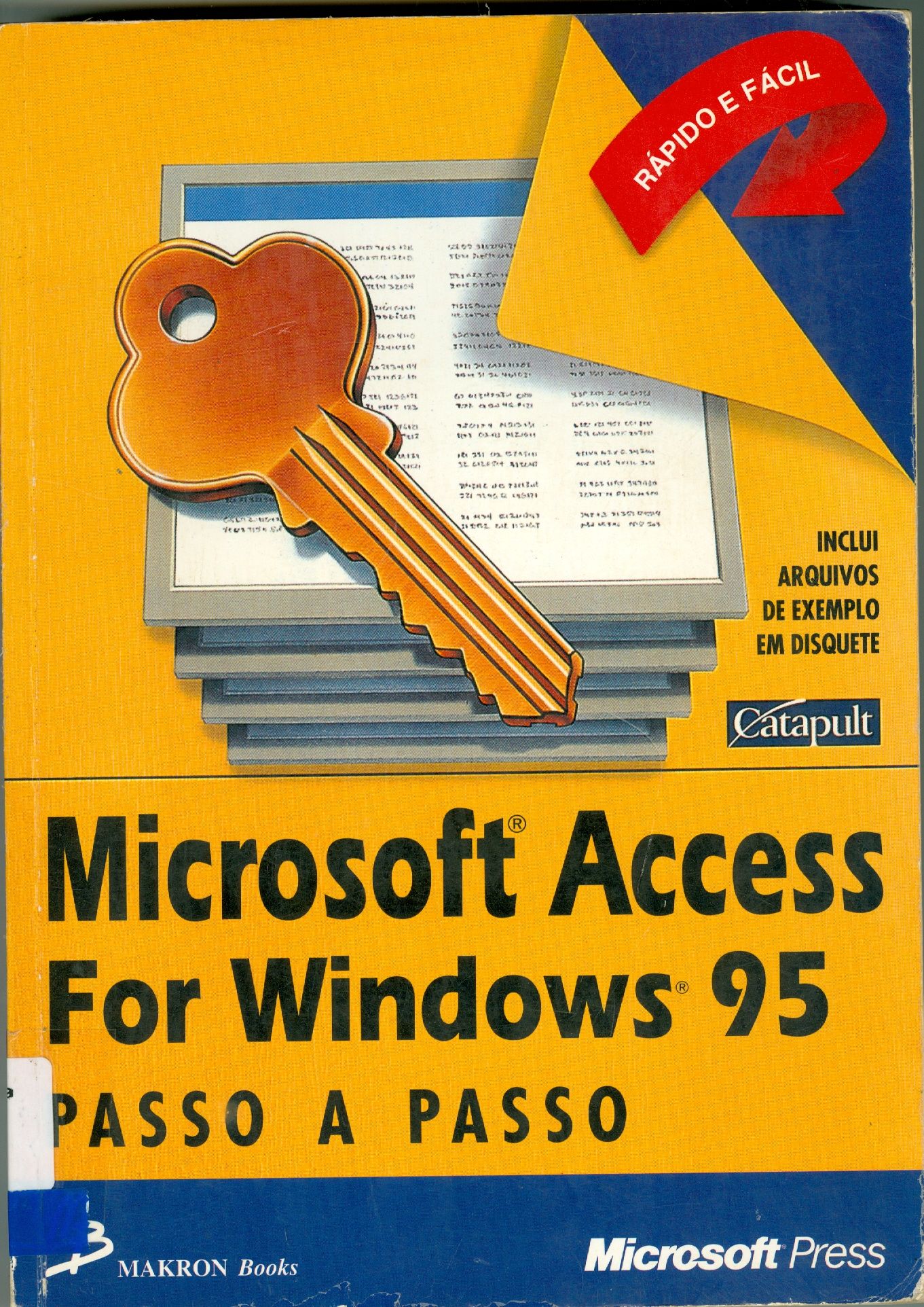 MICROSOFT ACCESS FOR WINDOWS 95 PASSO A PASSO