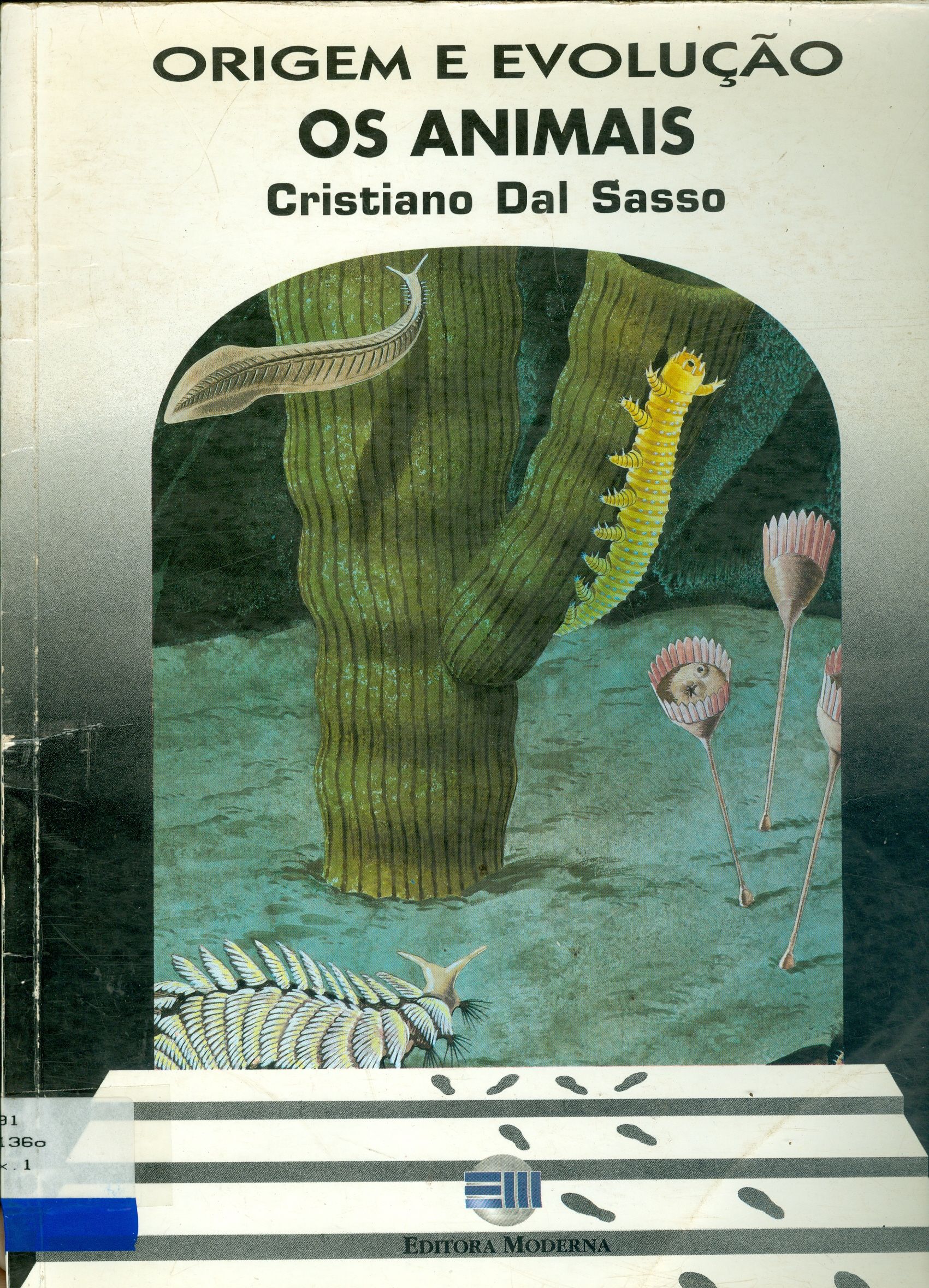 ORIGEM E EVOLUÇÃO: OS ANIMAIS