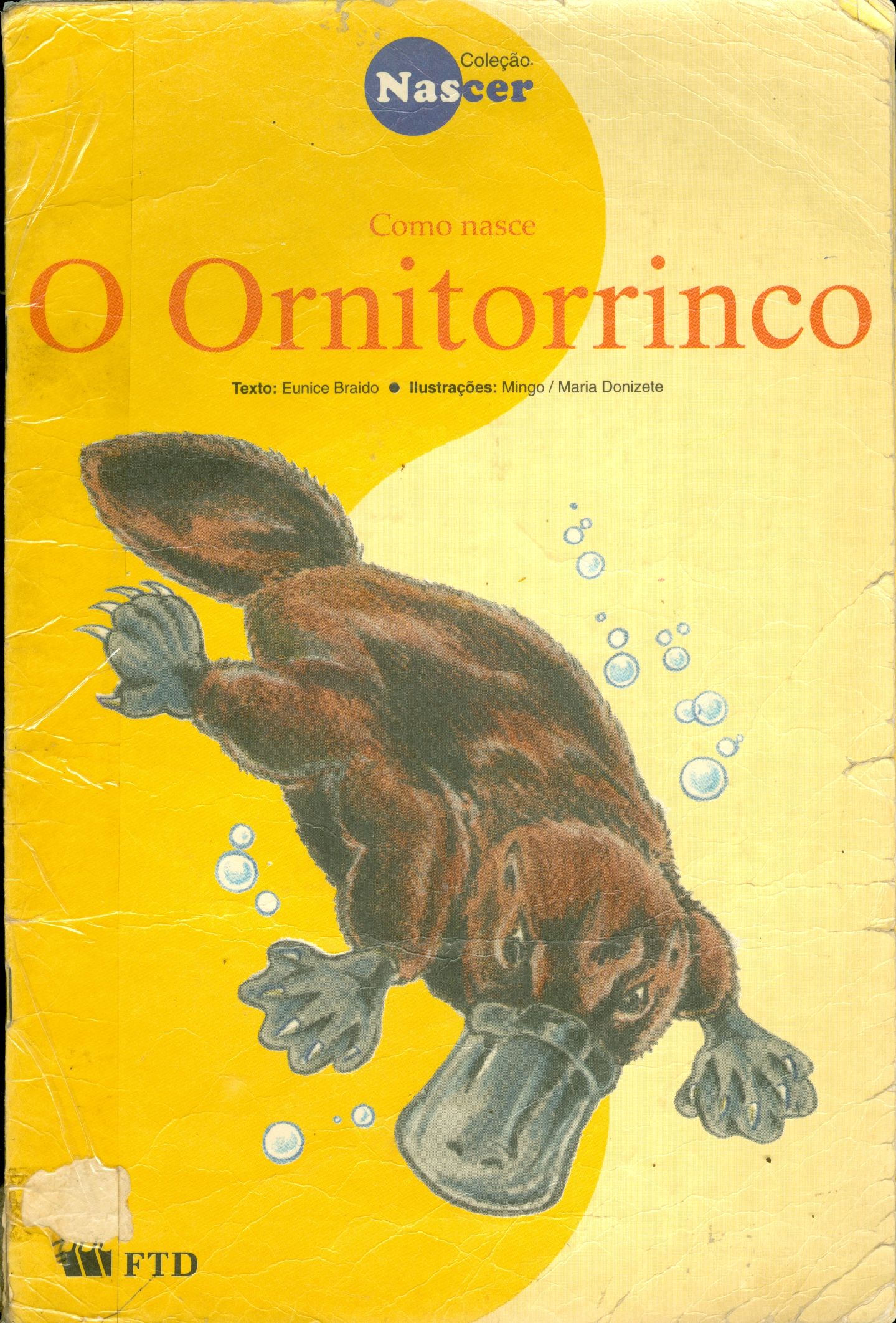 COMO NASCE O ORNITORRINCO