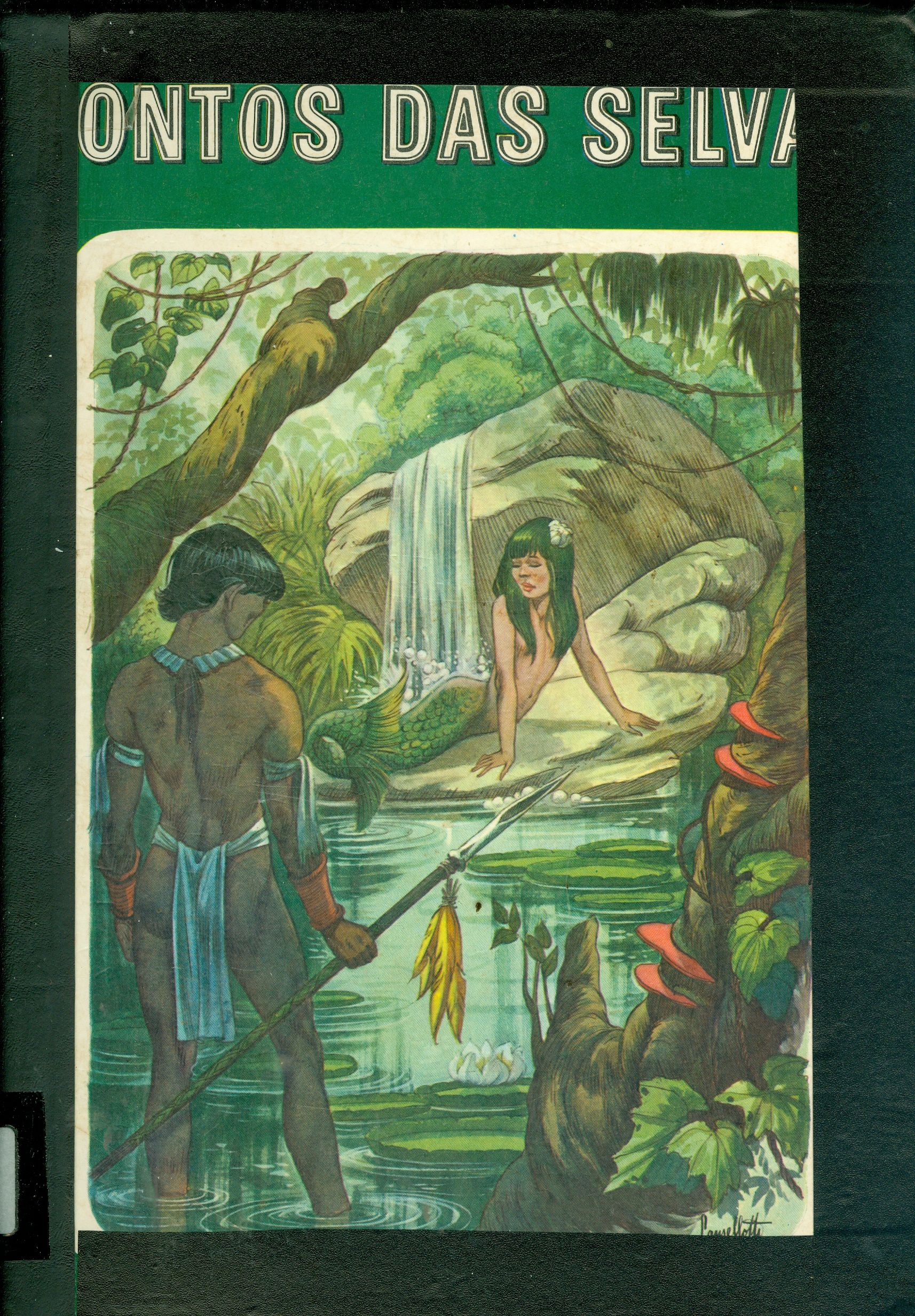 CONTOS DAS SELVAS - V. 1