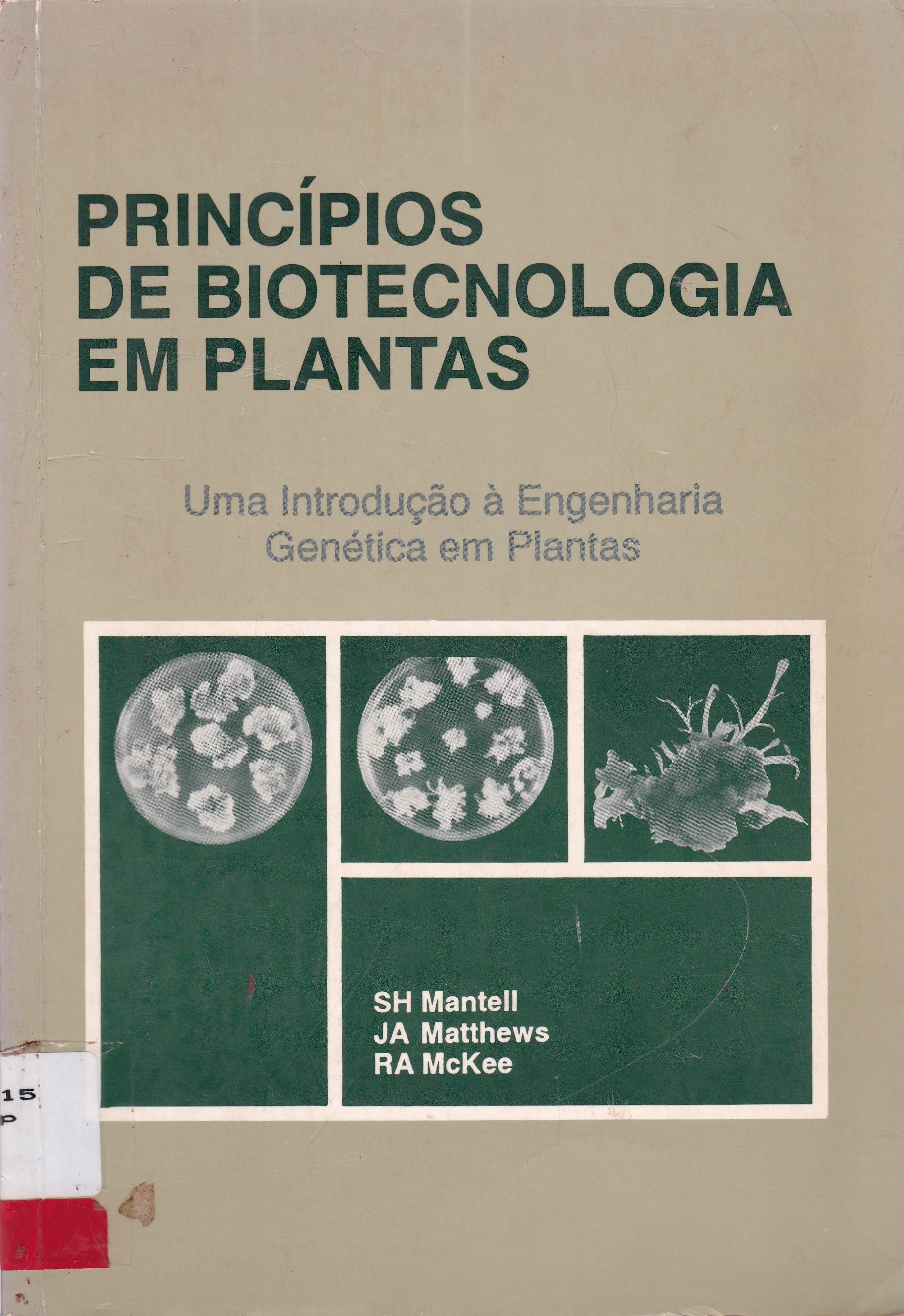 PRINCÍPIOS DE BIOTECNOLOGIA EM PLANTAS: UMA INTRODUÇÃO A ENGENHARIA GENÉTICA EM PLANTAS