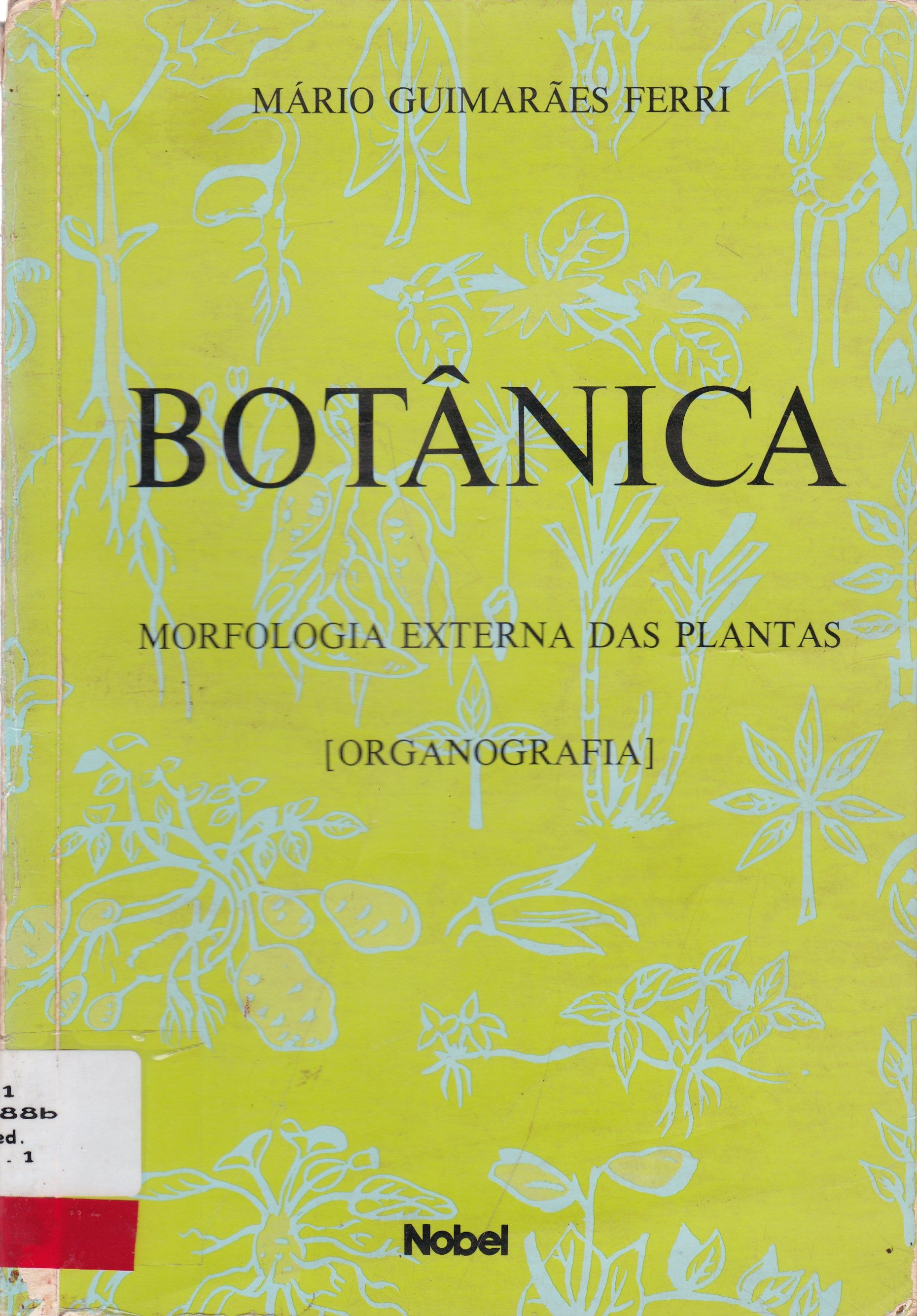BOTÂNICA: MORFOLOGIA EXTERNA DAS PLANTAS (ORGANOGRAFIA) 