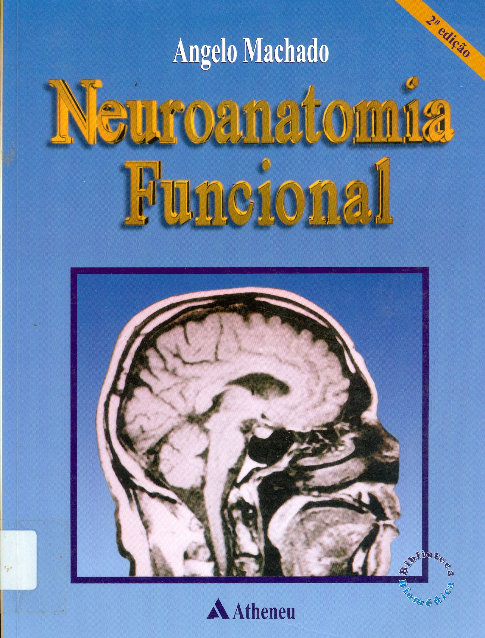 NEUROANATOMIA FUNCIONAL