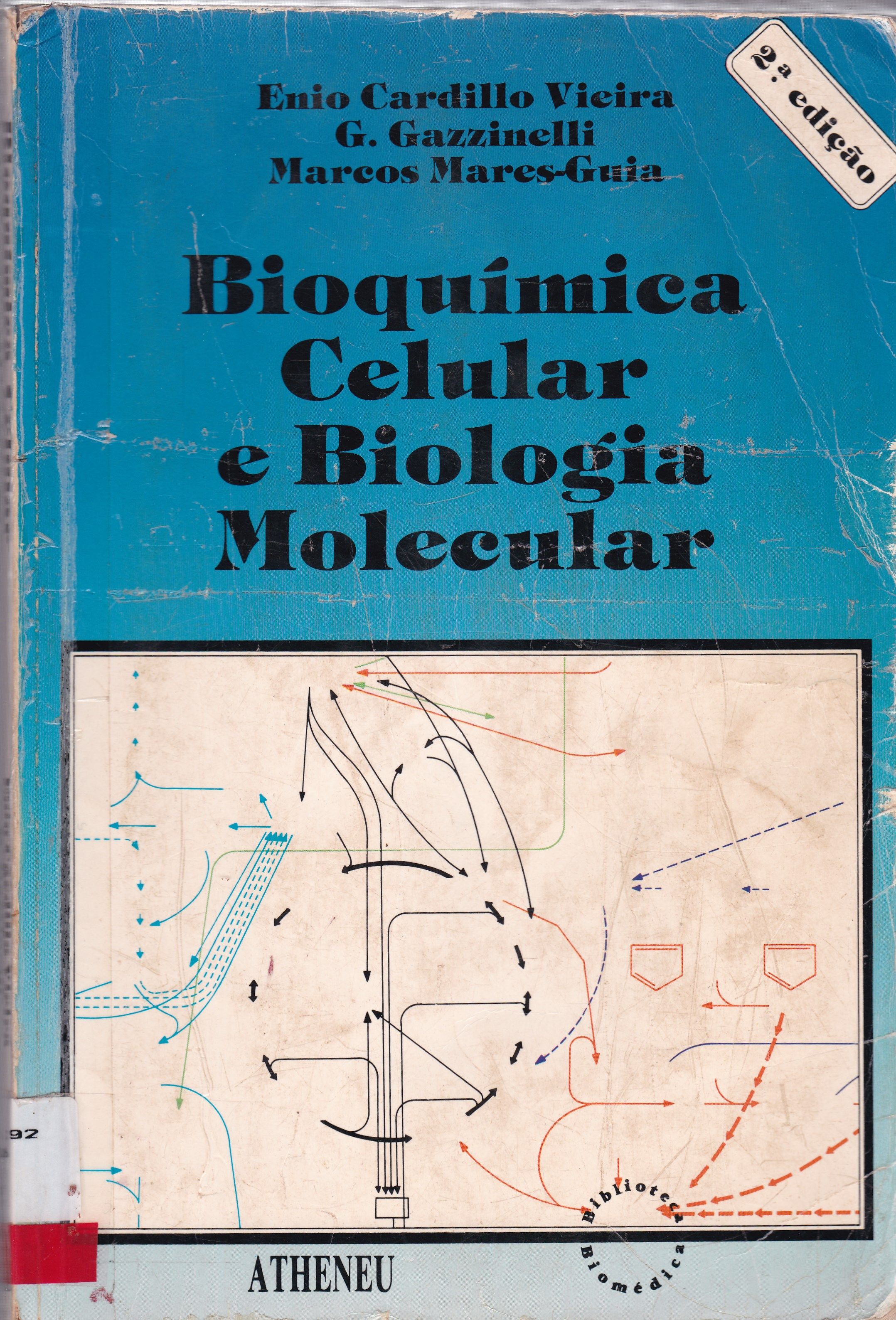BIOQUÍMICA CELULAR E BIOLOGIA MOLECULAR