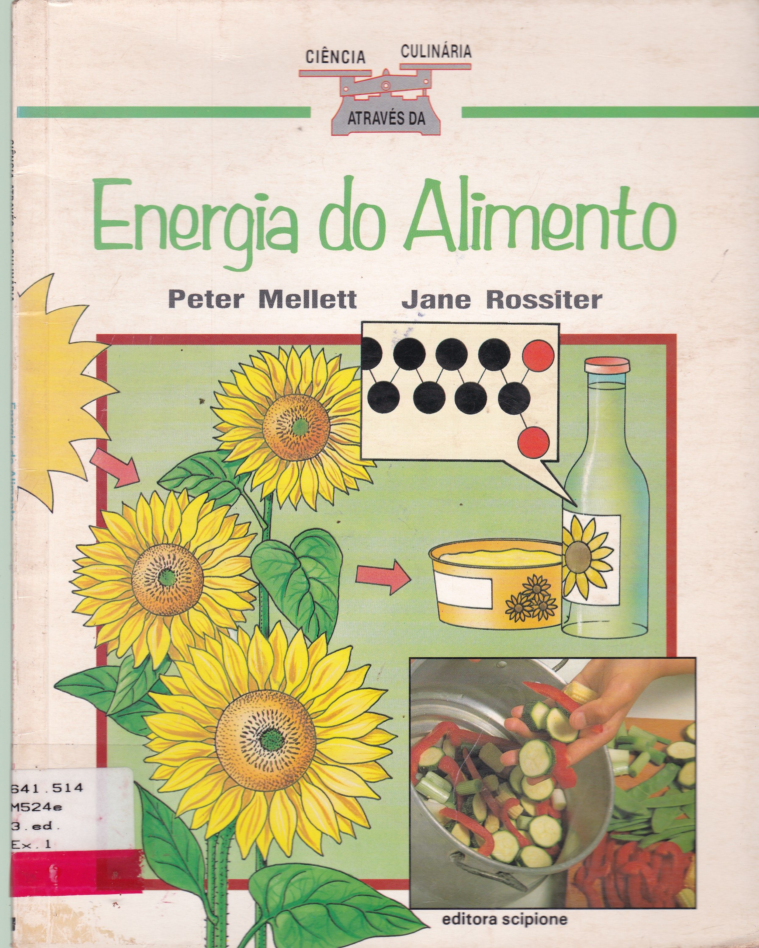 ENERGIA DO ALIMENTO 