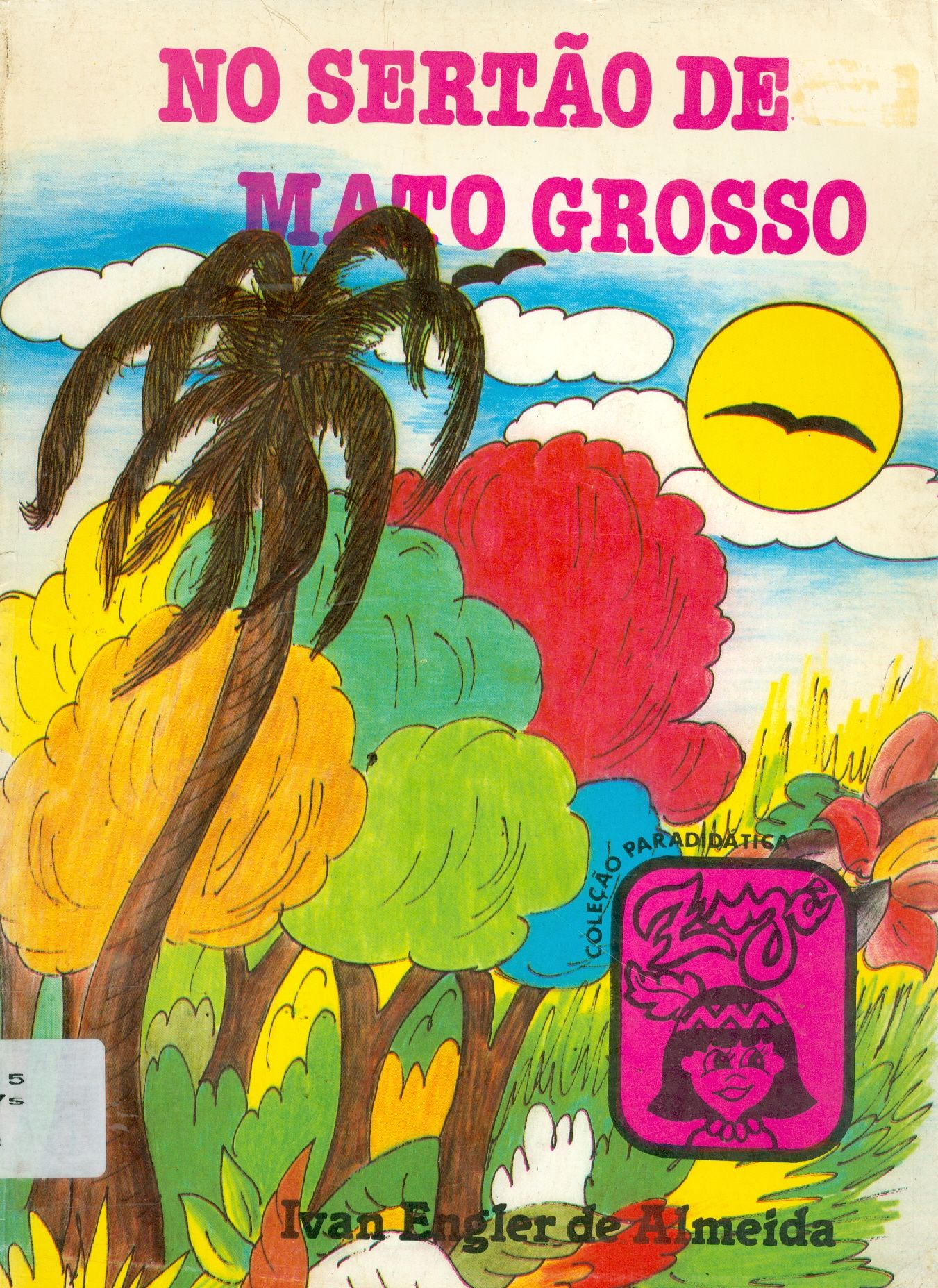 NO SERTÃO DE MATO GROSSO