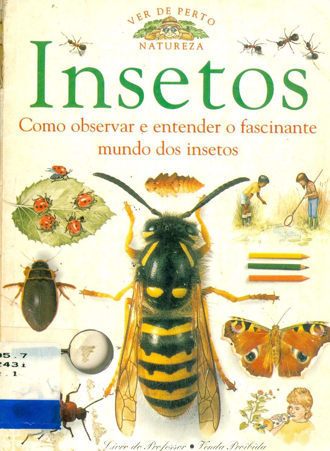 INSETOS: COMO OBSERVAR E ENTENDER O FASCINANTE MUNDO DOS INSETOS