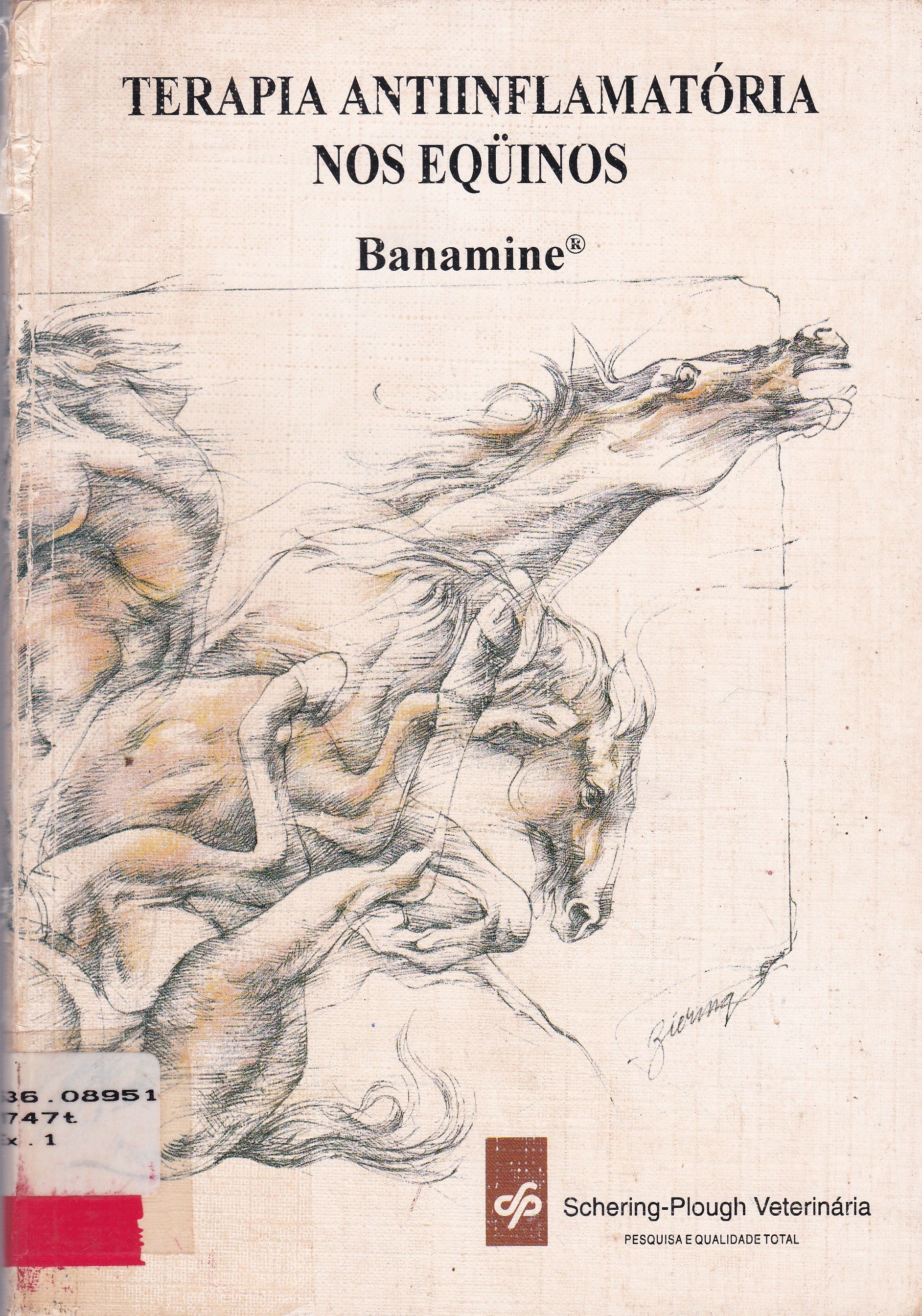 TERAPIA ANTIINFLAMATÓRIA NOS EQUINOS