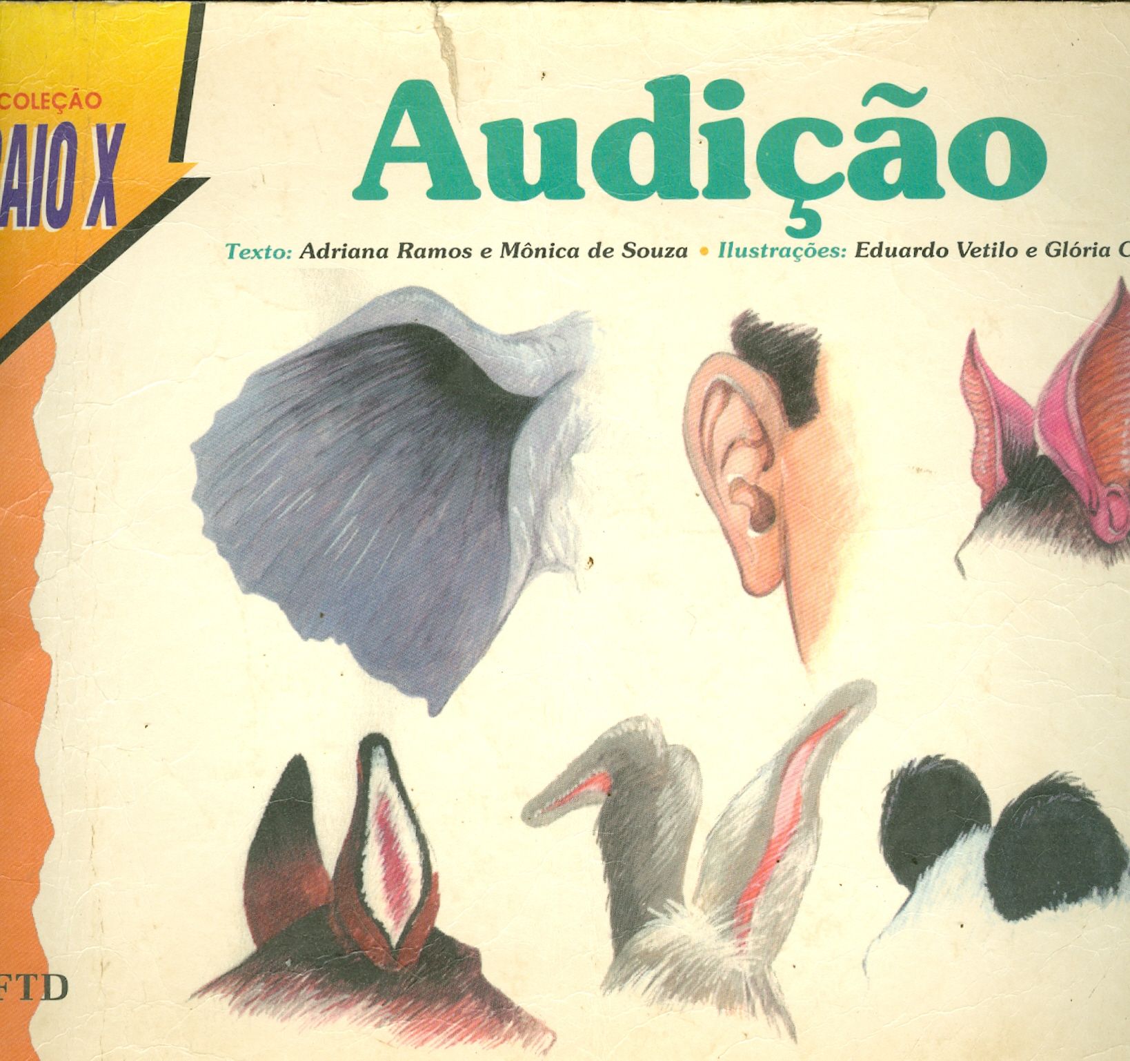 AUDIÇÃO - COLEÇÃO